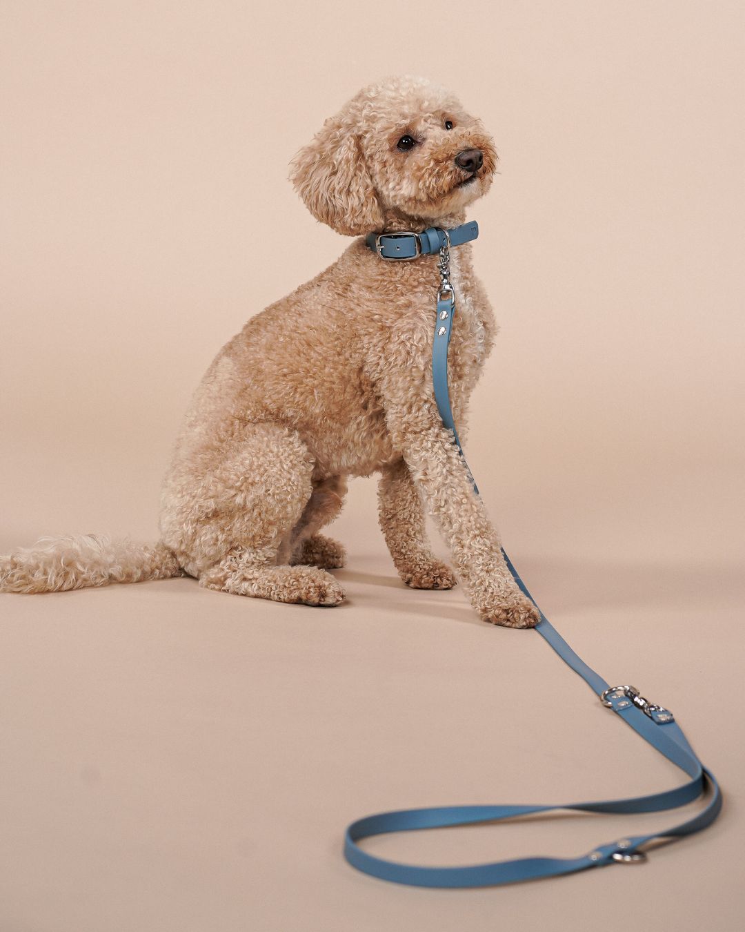 Dog leash made of Biothane® 'Dusty Blue'