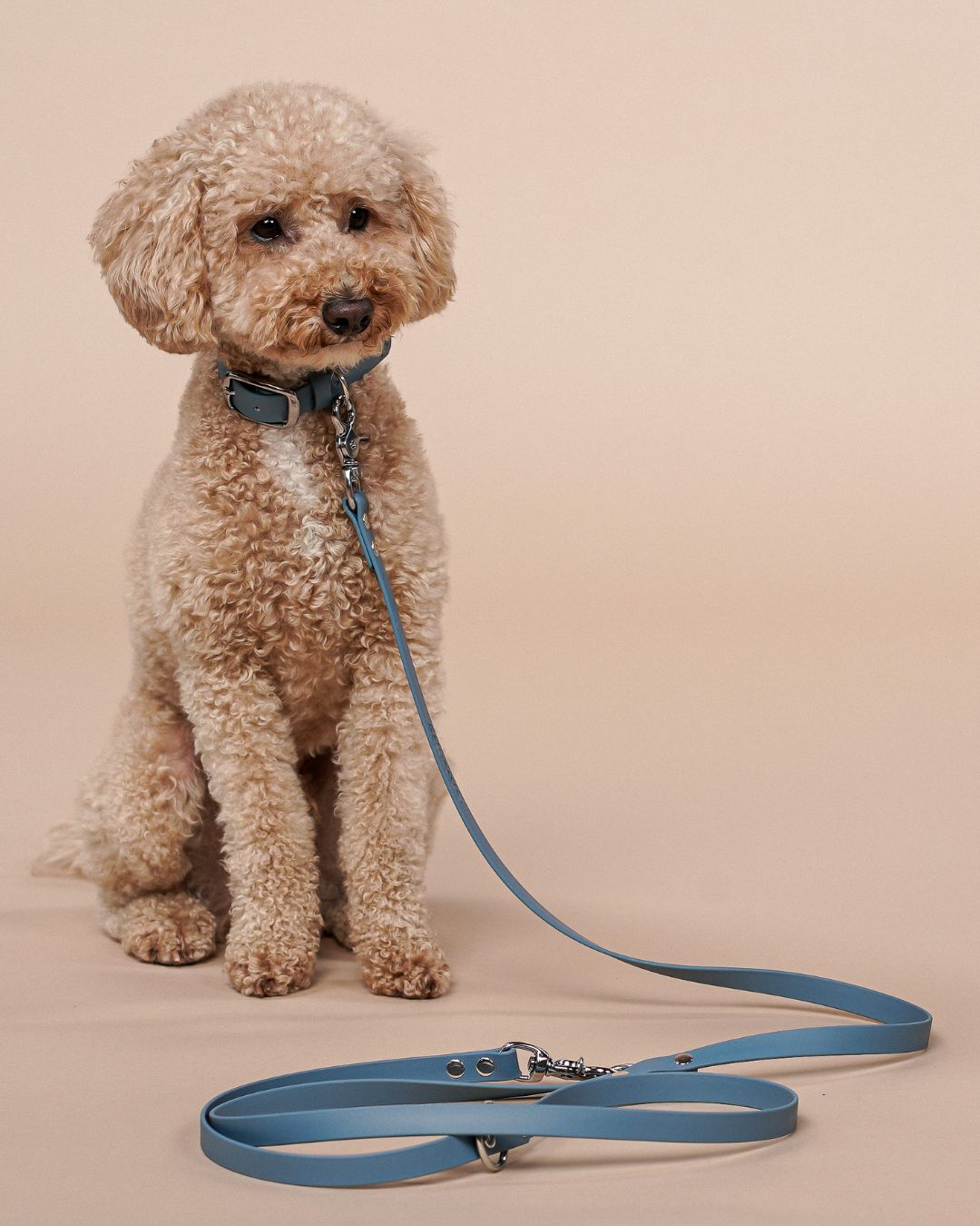 Dog leash made of Biothane® 'Dusty Blue'