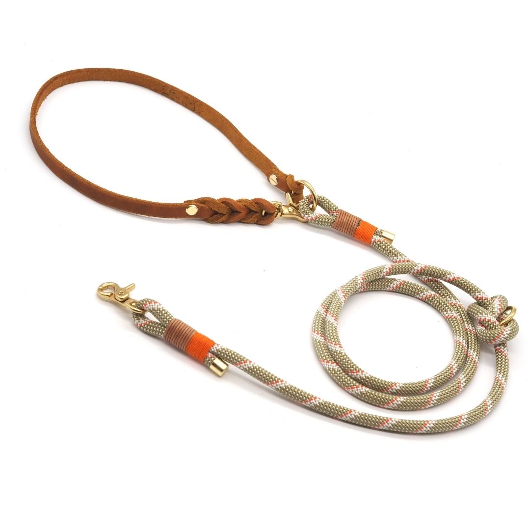 Small sale dog leash