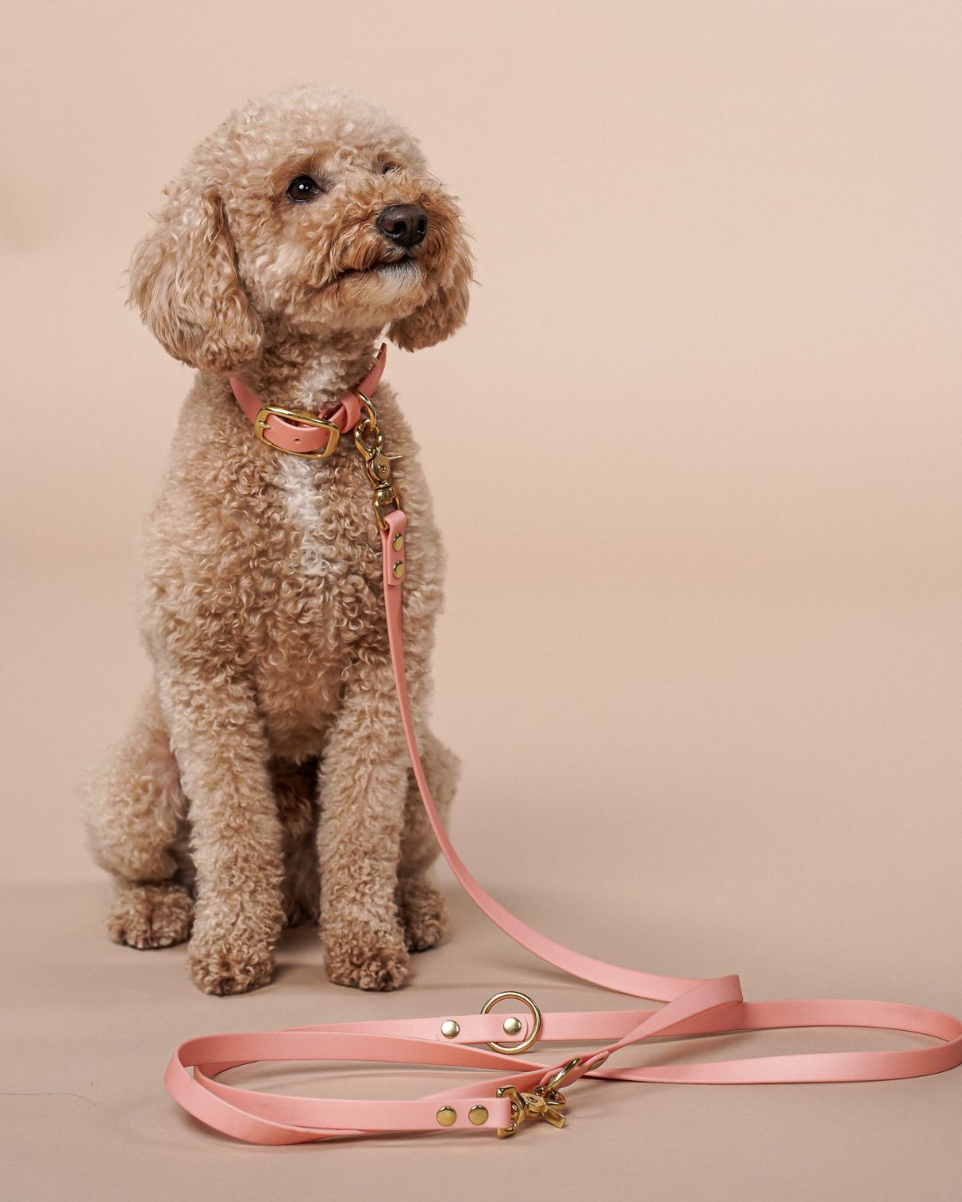 Dog leash made of Biothane® 'Rosegold'