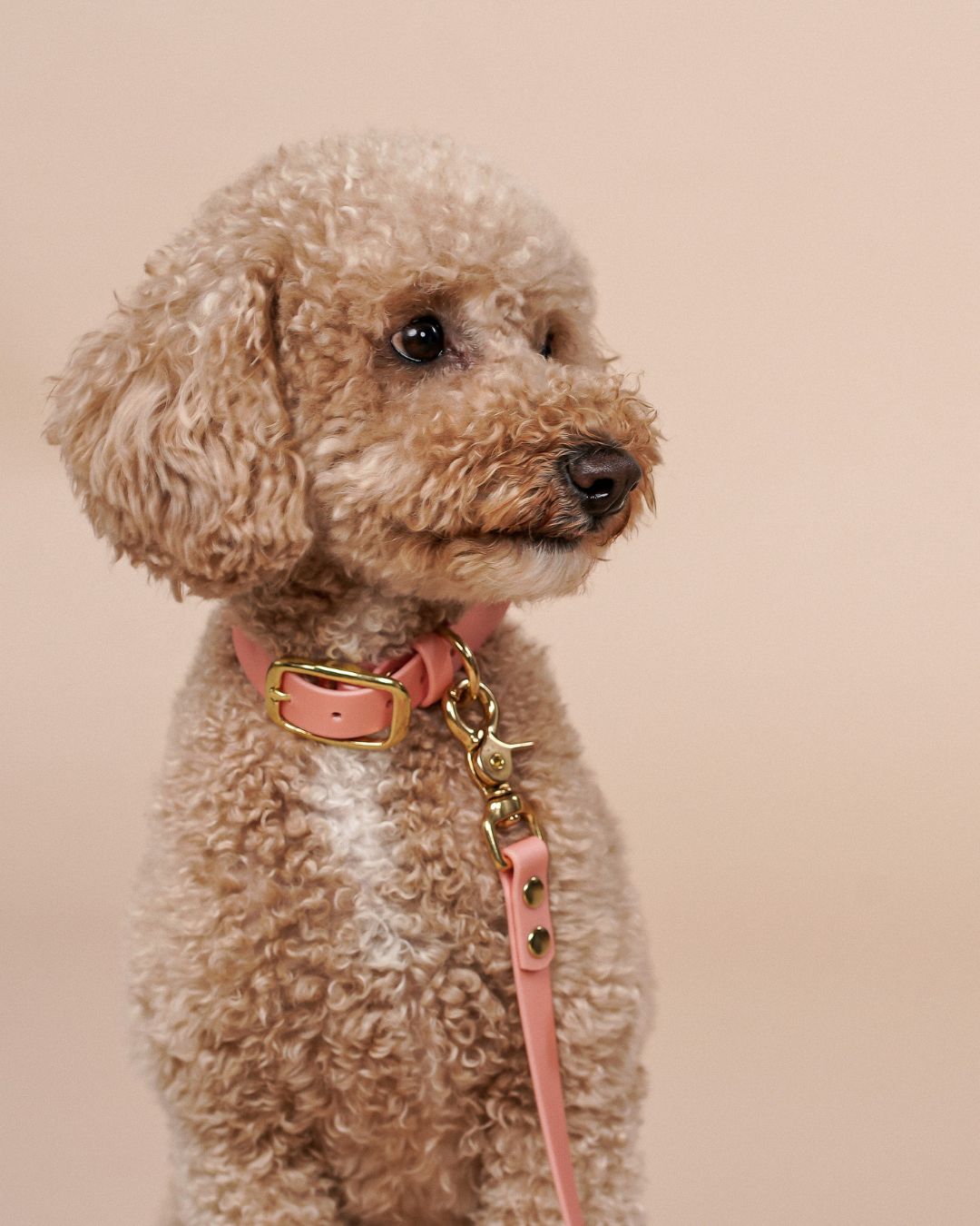 Dog leash made of Biothane® 'Rosegold'