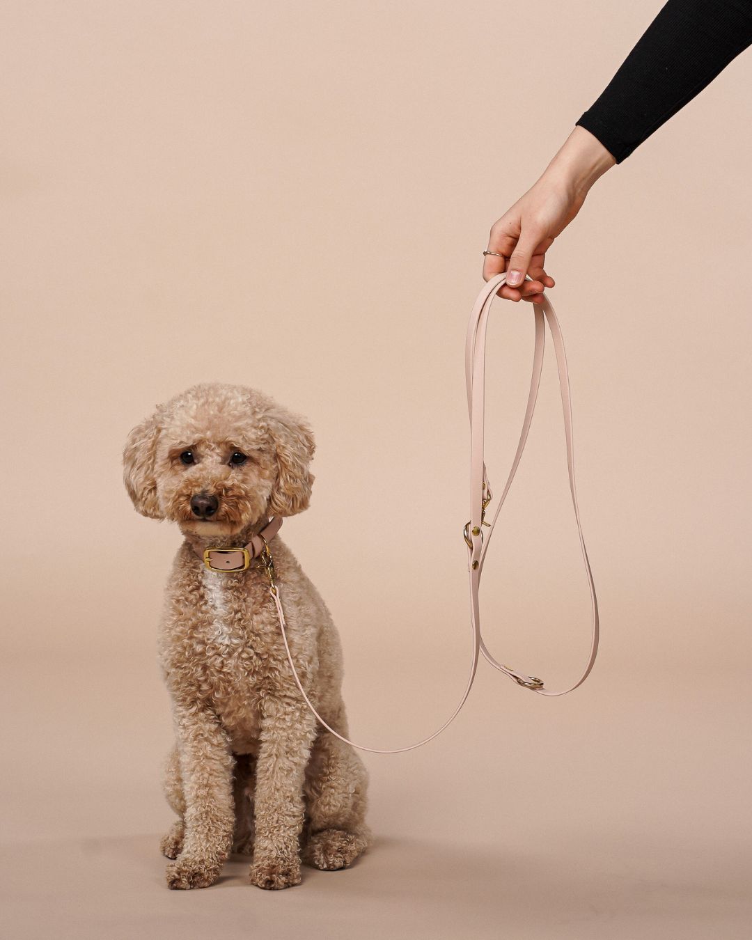 B:Ware | Hundeleine für kleine Hunde aus Biothane® 'Sand'