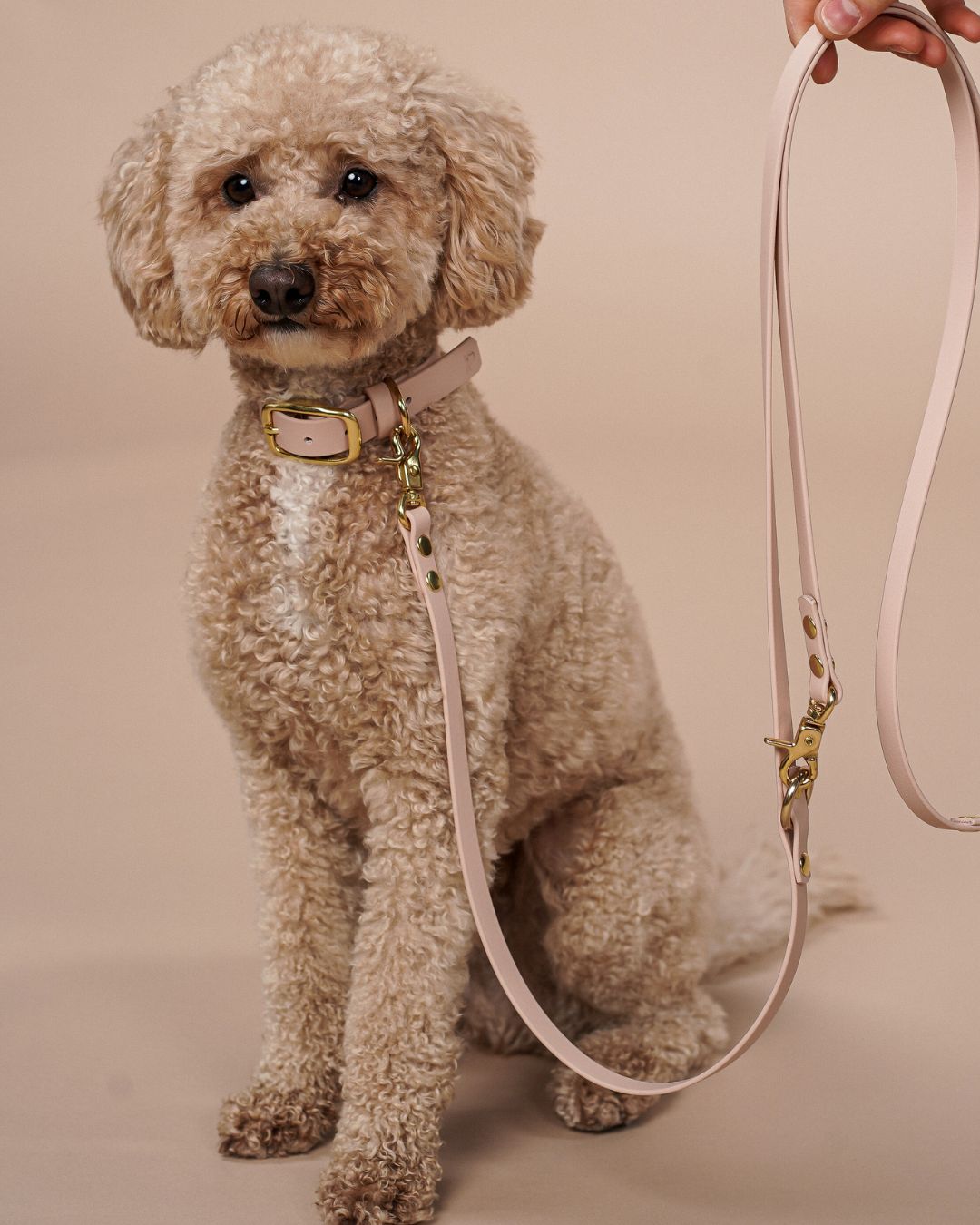 B:Ware | Hundeleine für kleine Hunde aus Biothane® 'Sand'