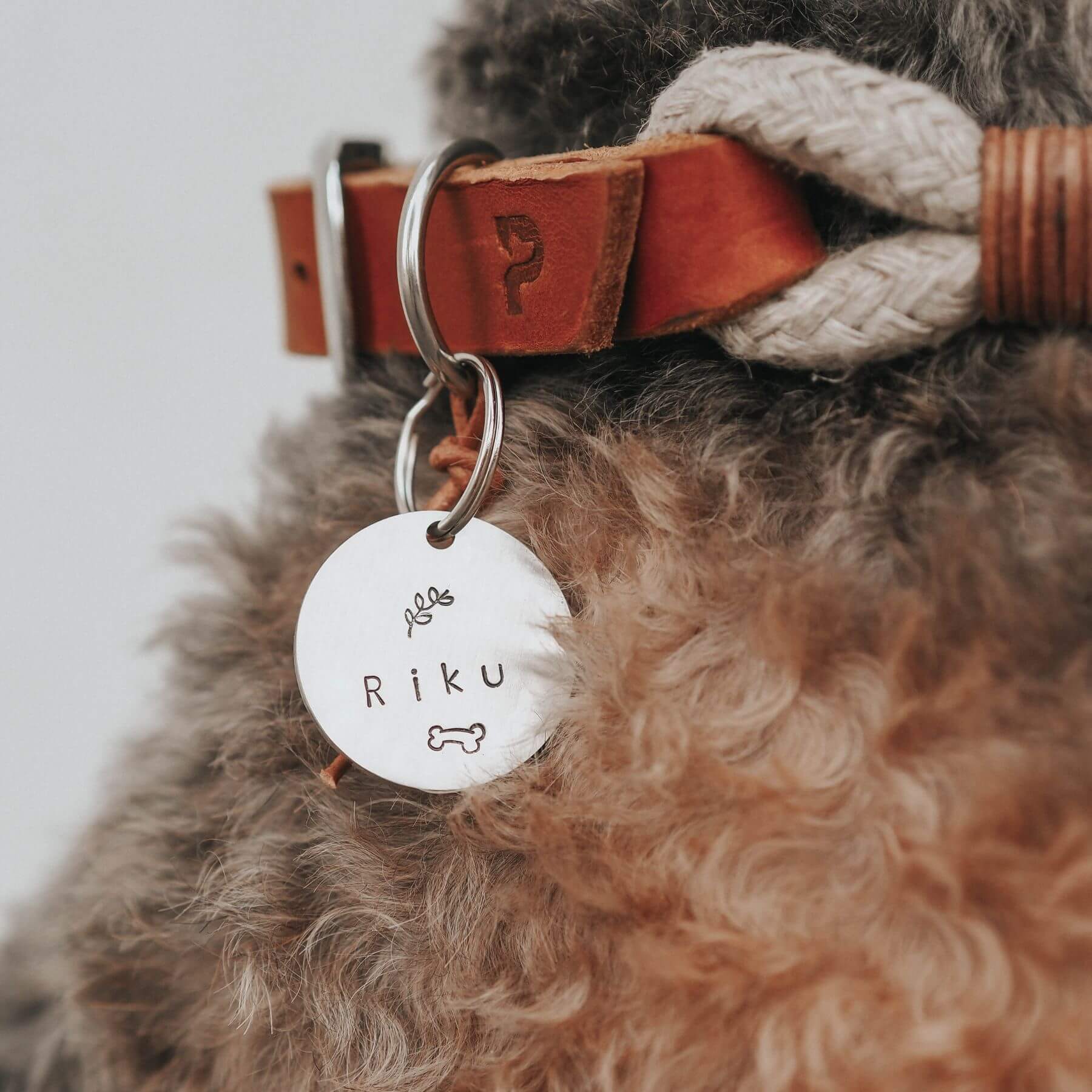 Dieses Bild zeigt unsere individuelle Hundemarke. Du kannst den Text frei wählen und zwei besondere Stempel sind im Preis inkludiert. Wir haben die PAWSOME Hundemarken in drei Farben: Messing, Silber und Rose.