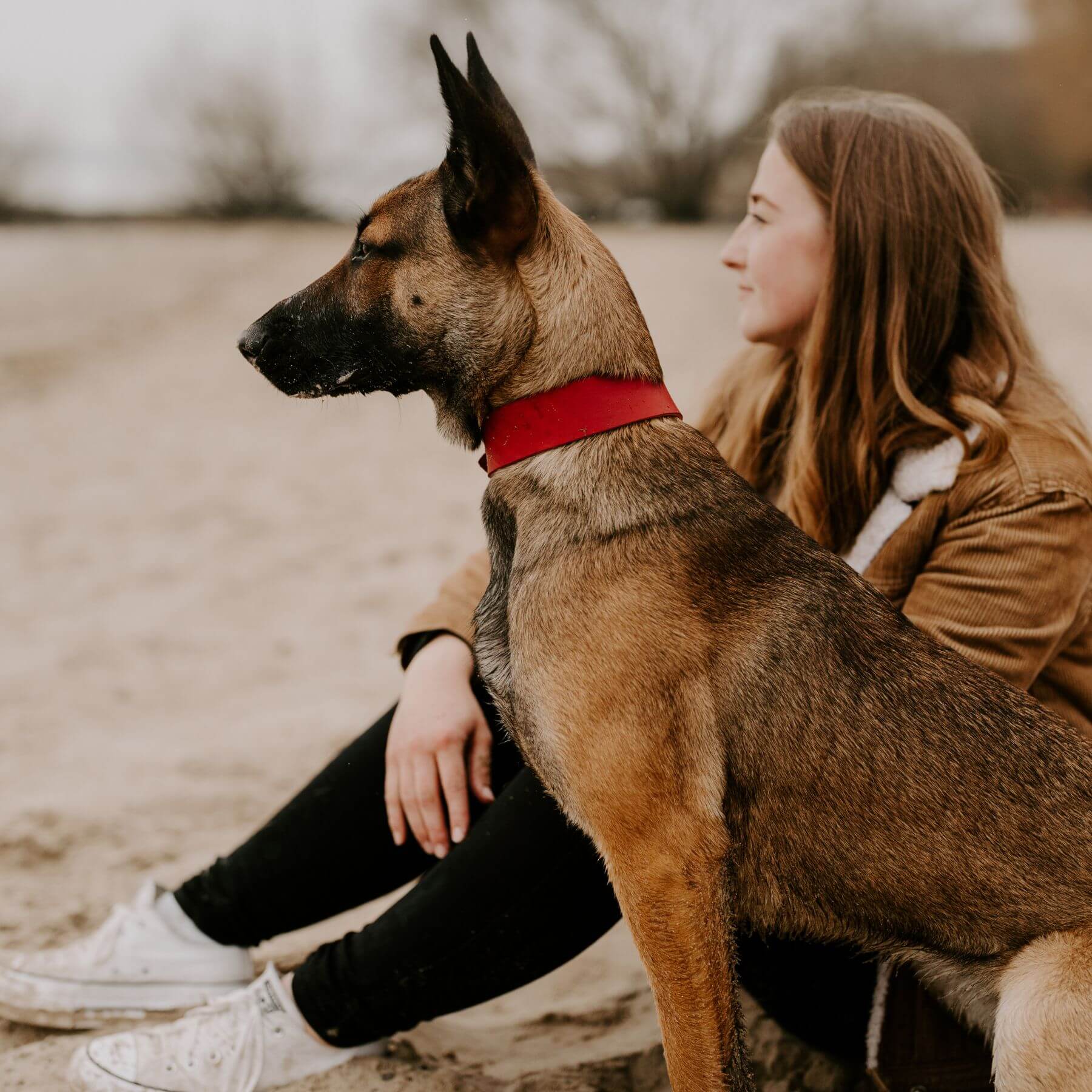 Personalisierbares Lederhalsband mit Name | Chili