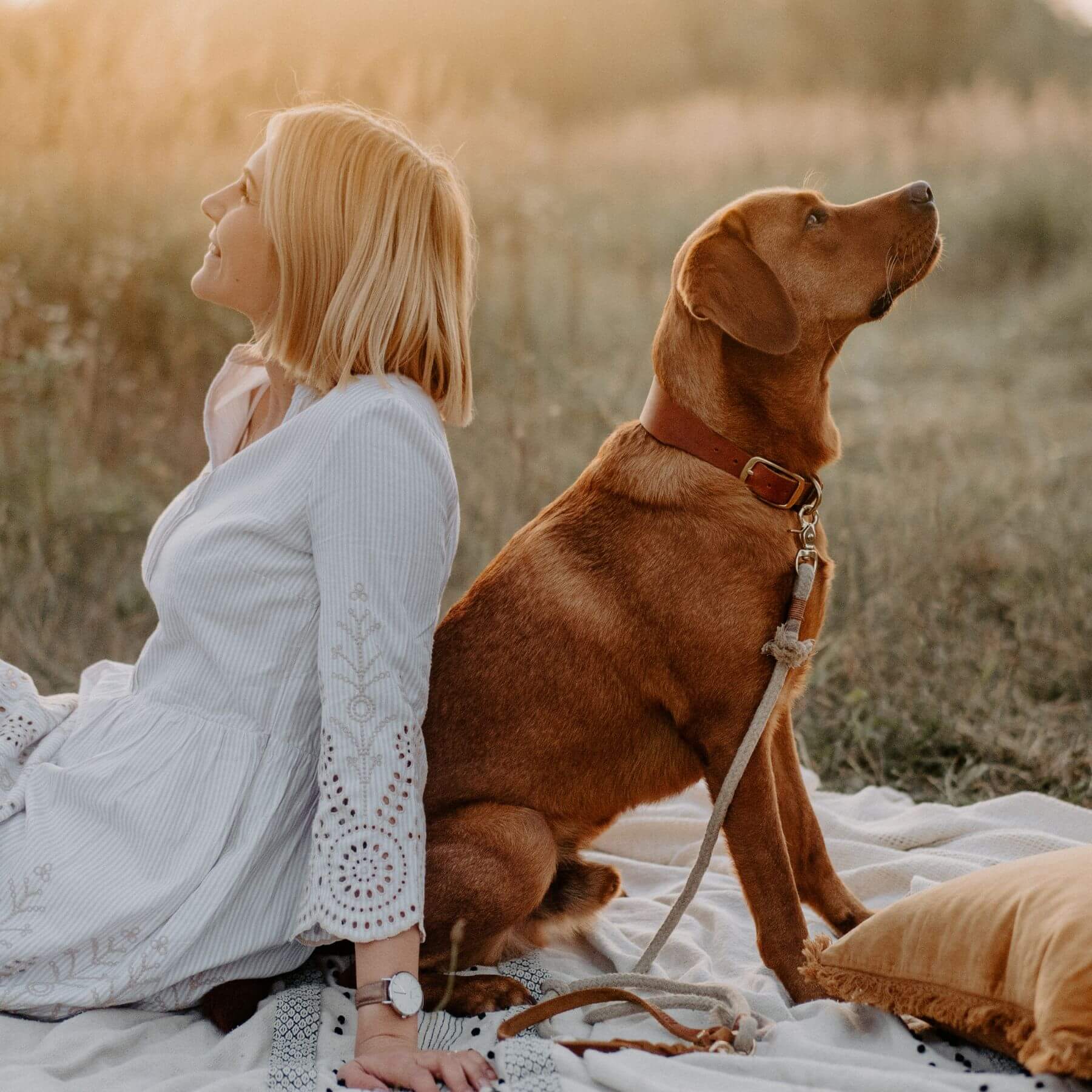 Personalizable collar with name | cognac