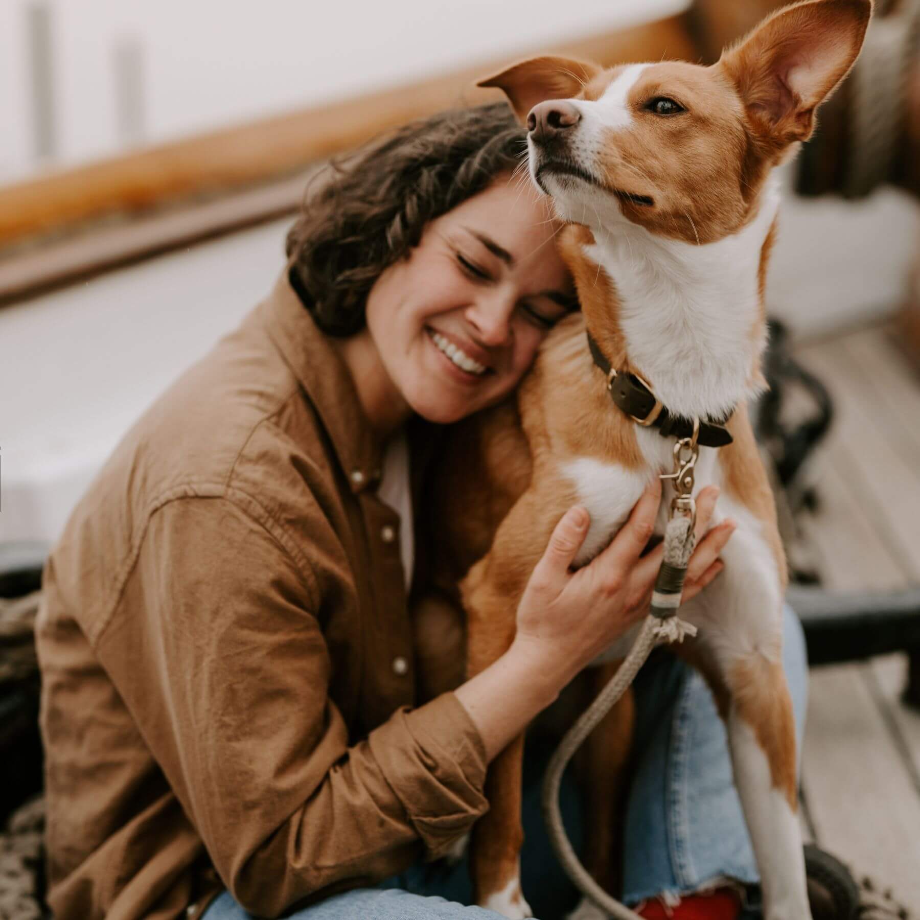 Personalizable collar with name | olive