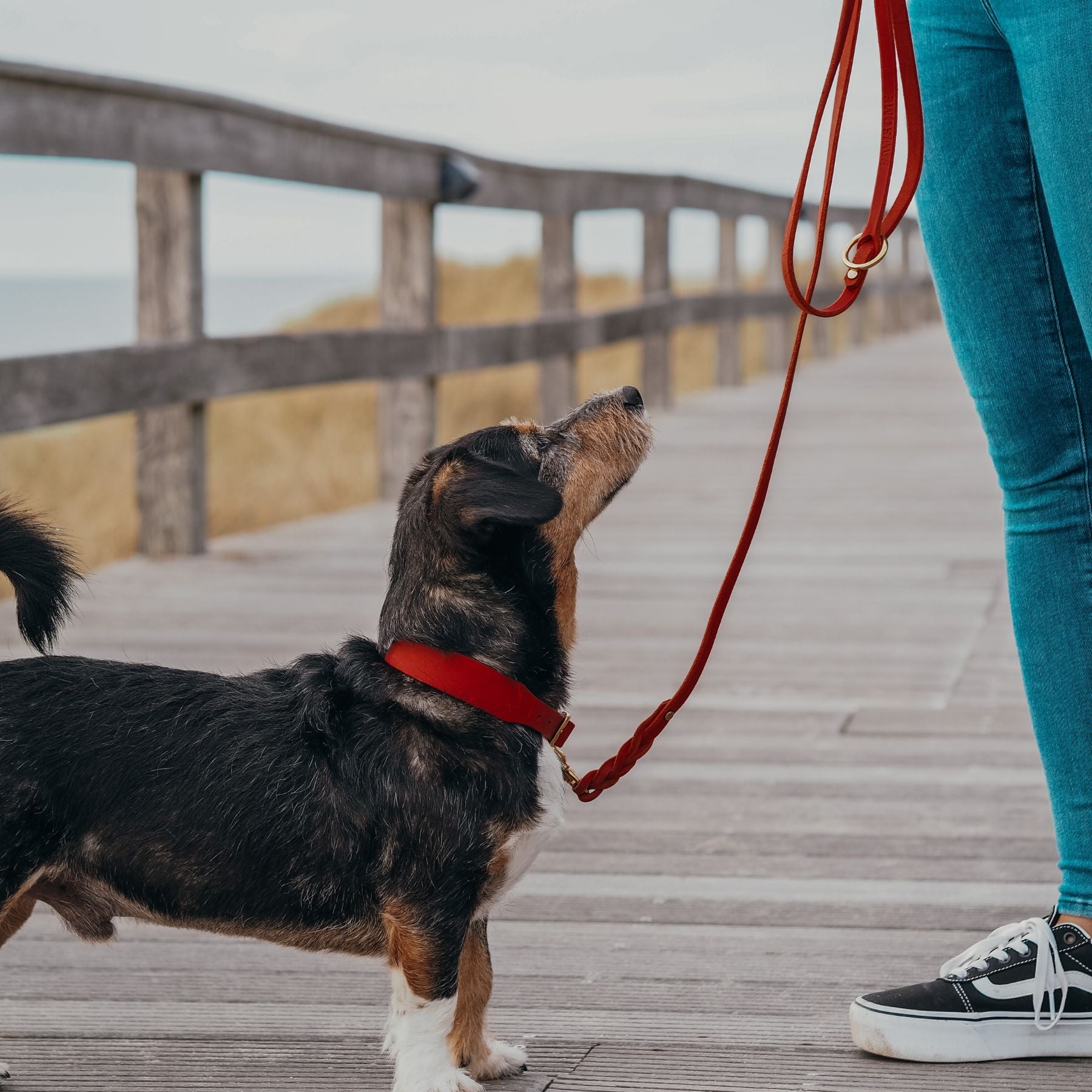 Leather leash 'Bjarki' in chili