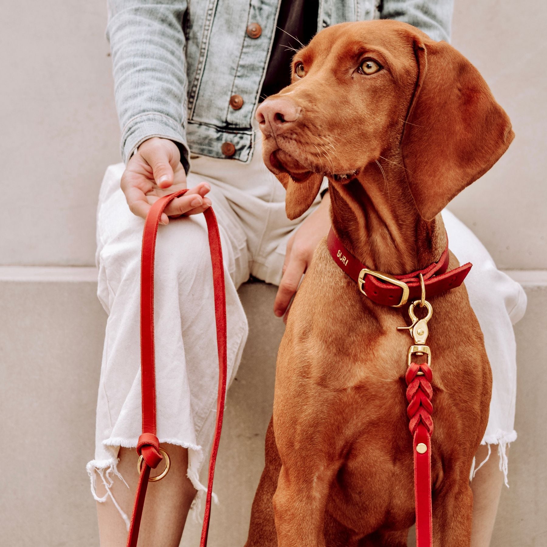 Leather leash 'Bjarki' in chili