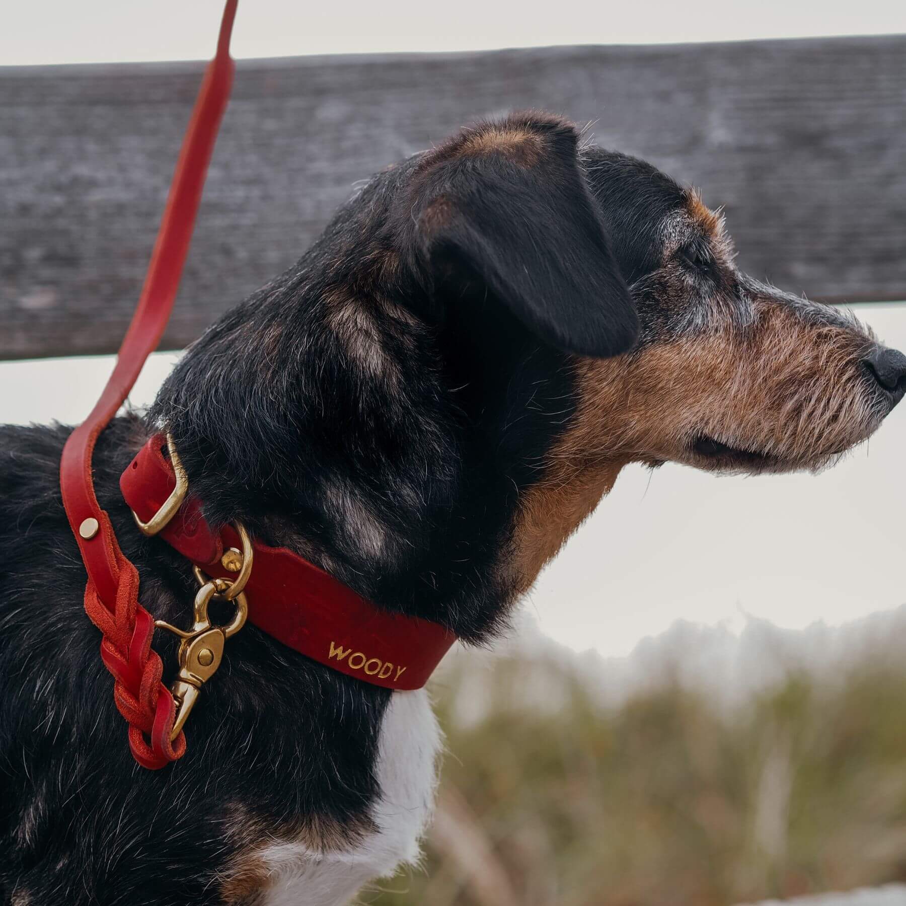 Leather leash 'Bjarki' in chili