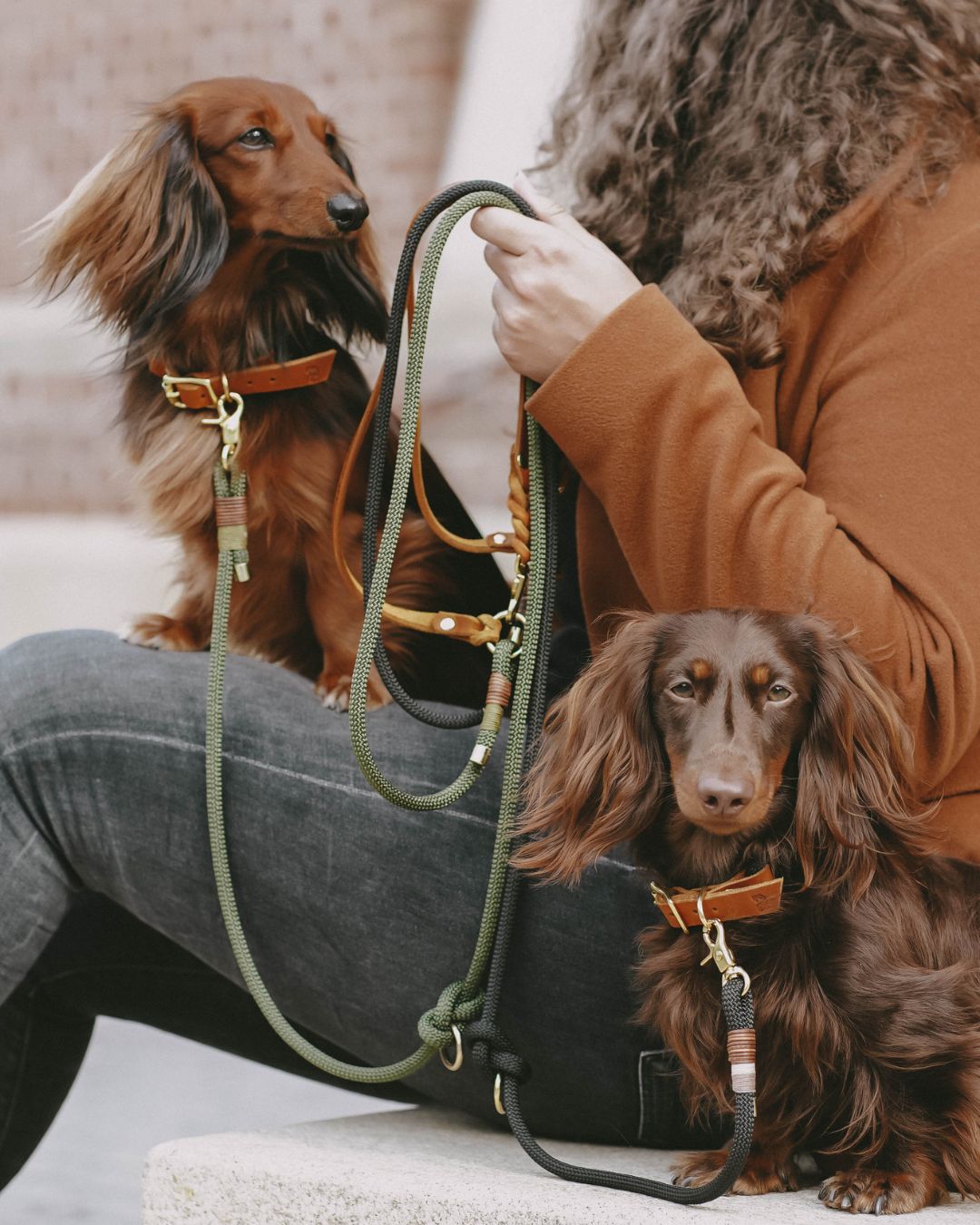 Dew collar 'Berlin'
