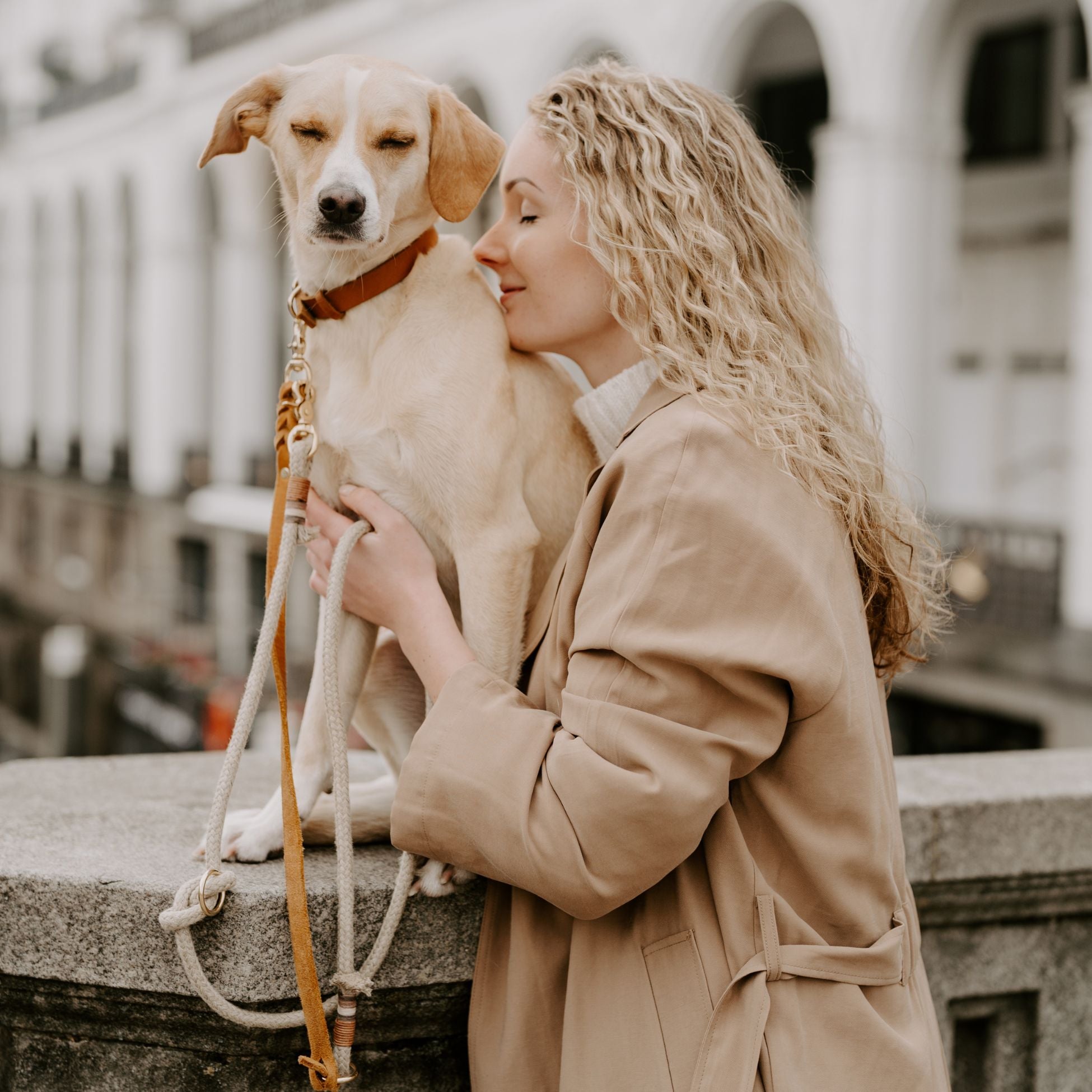 Narrow leather collar in cognac
