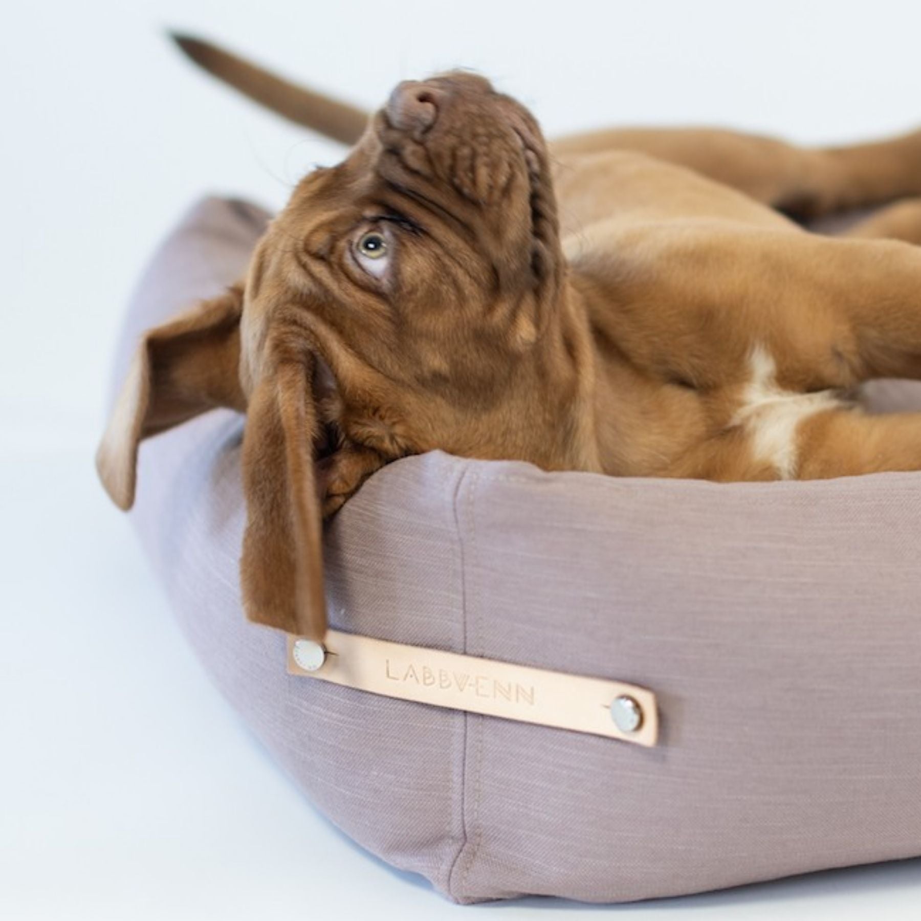 Dog bed 'Stokke'