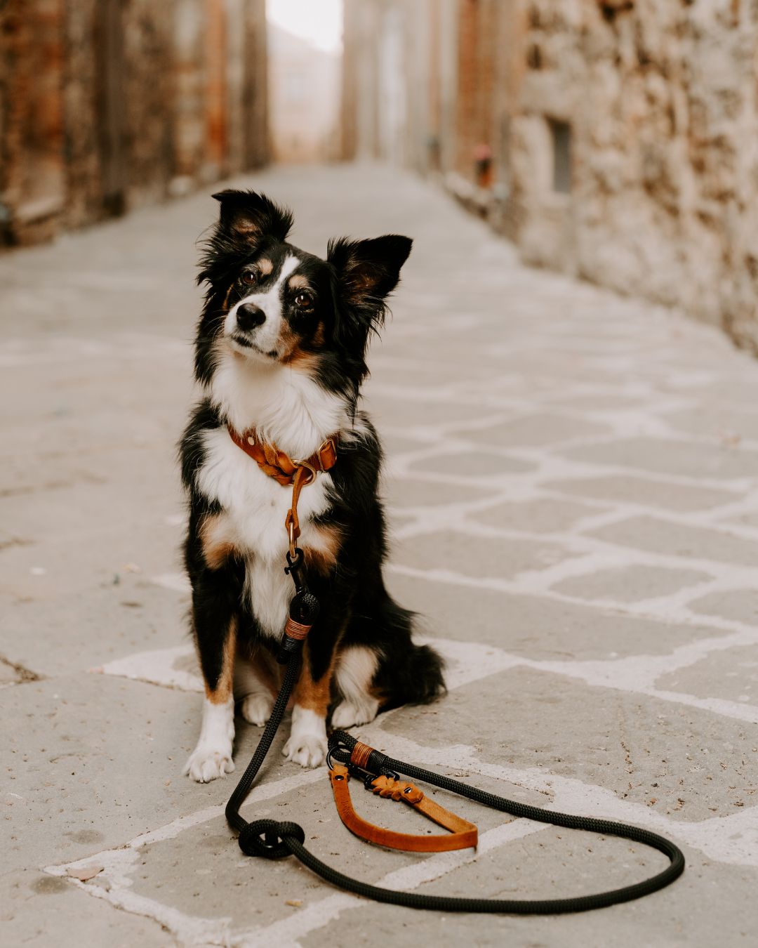 Rope rope 'Baya'