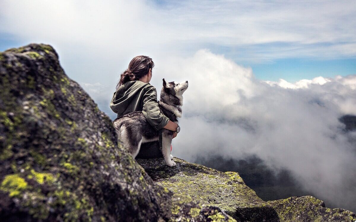 Wandern mit Hund: Vorbereitung, Ausrüstung und Tipps