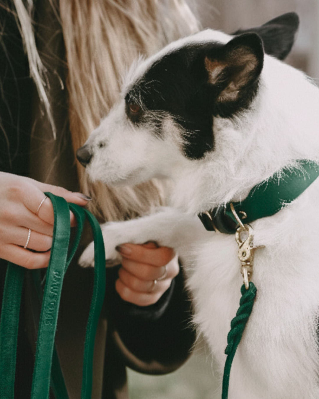 Hund mit der Hundeleine Bjarki in Petrol