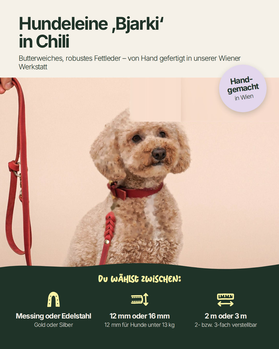 Hundeleine Bjarki in Chili: Beschläge Messing oder Edelstahl, 12 oder 16 mm breit, 2 oder 3 m lang
