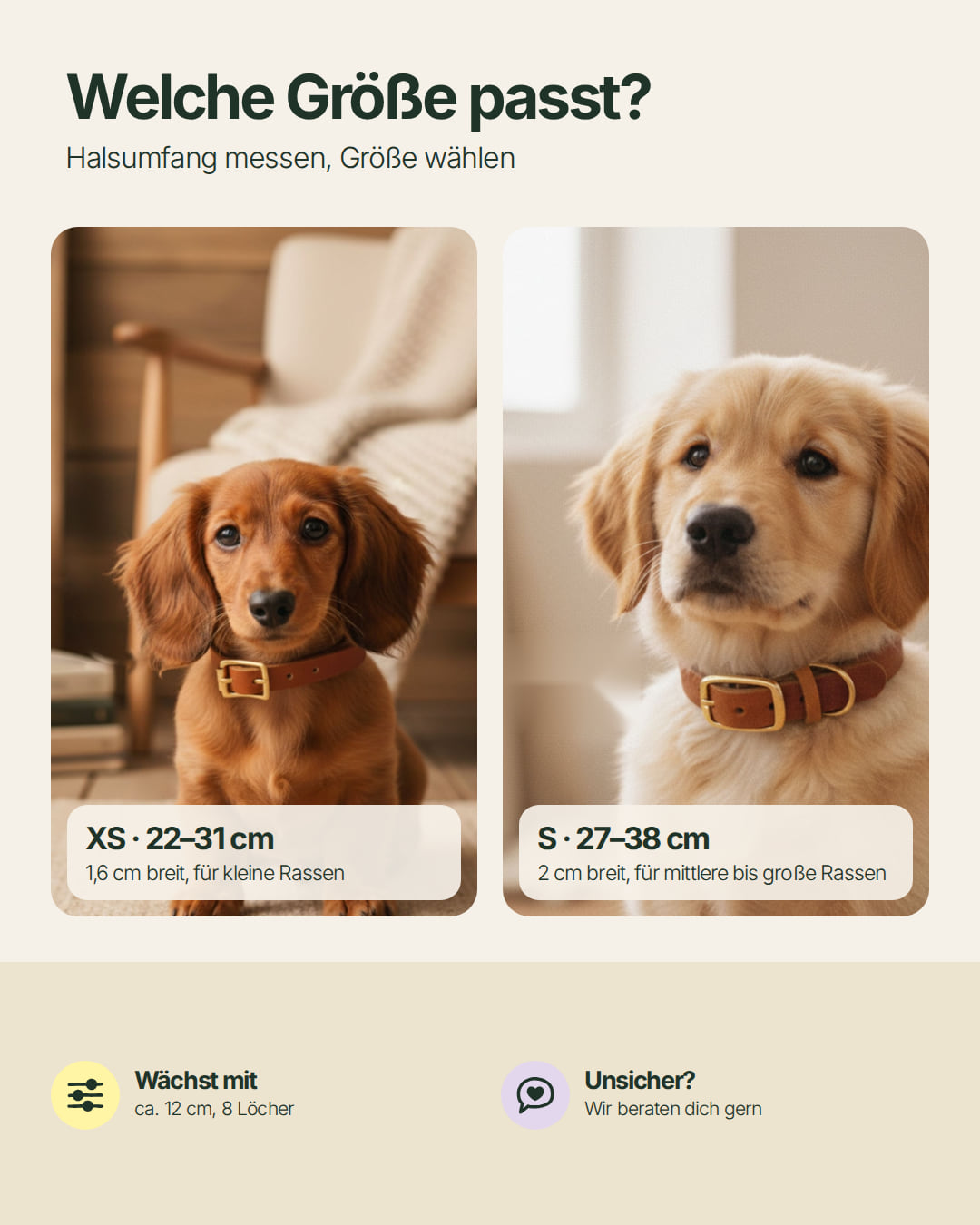 Puppy Special: Set | Puppy collar &amp; rope leash including 25% voucher
