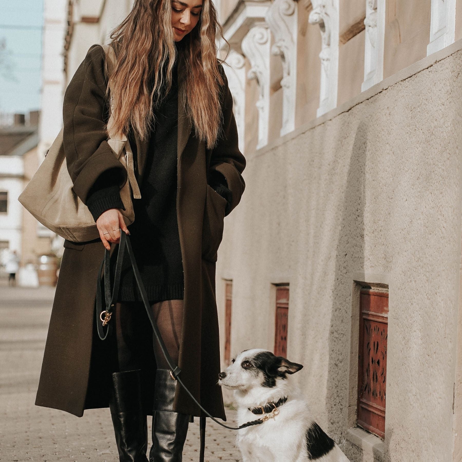 Set | Leather collar &amp; leash in cognac