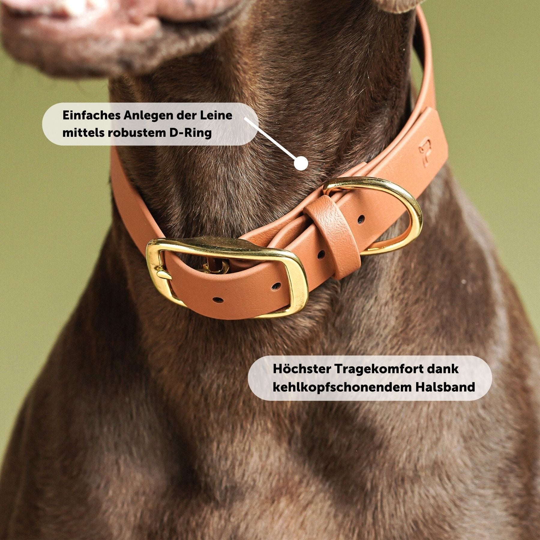 Set | Collar &amp; leash made of Biothane® 'Light brown' 