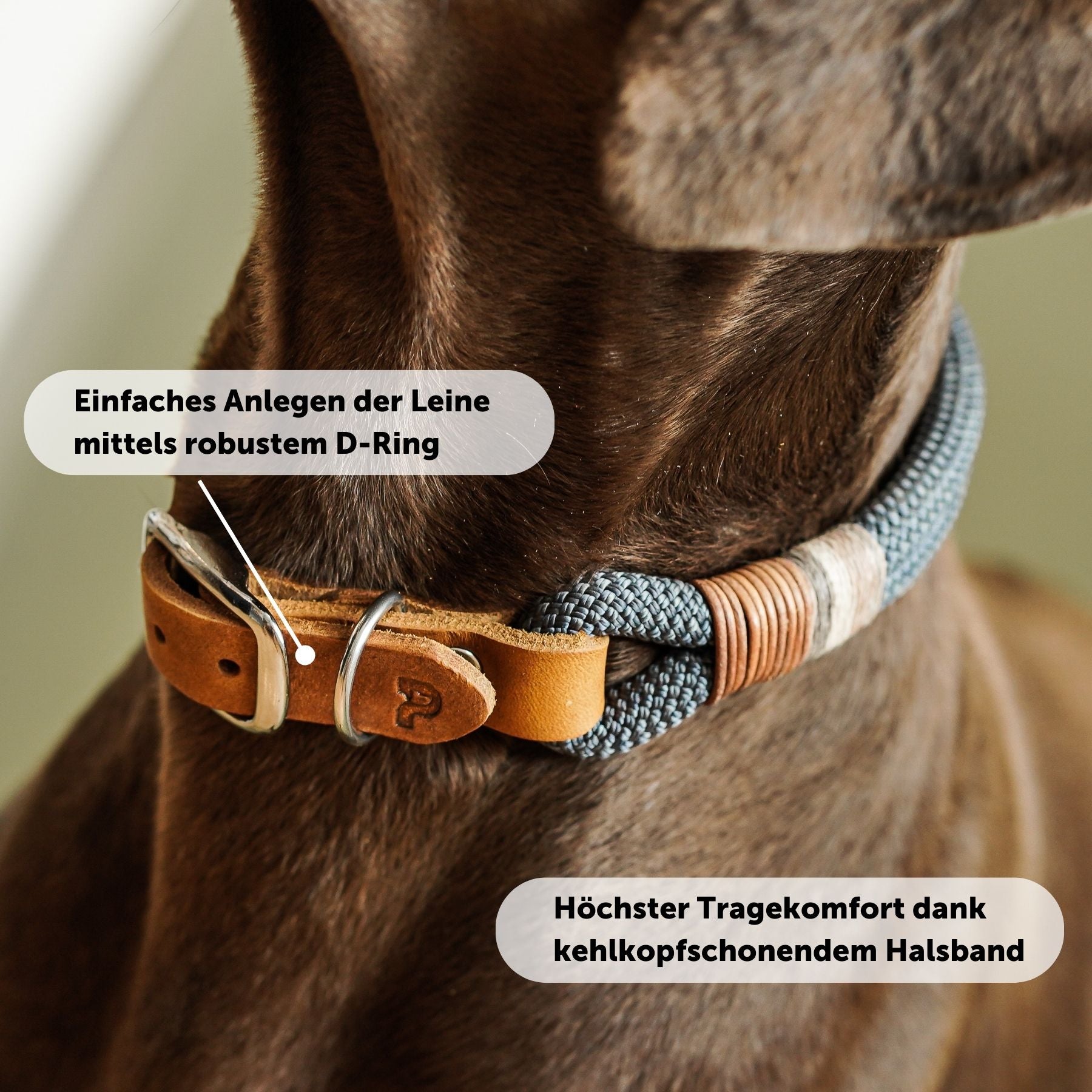 Set | Collar &amp; leash 'Vienna'