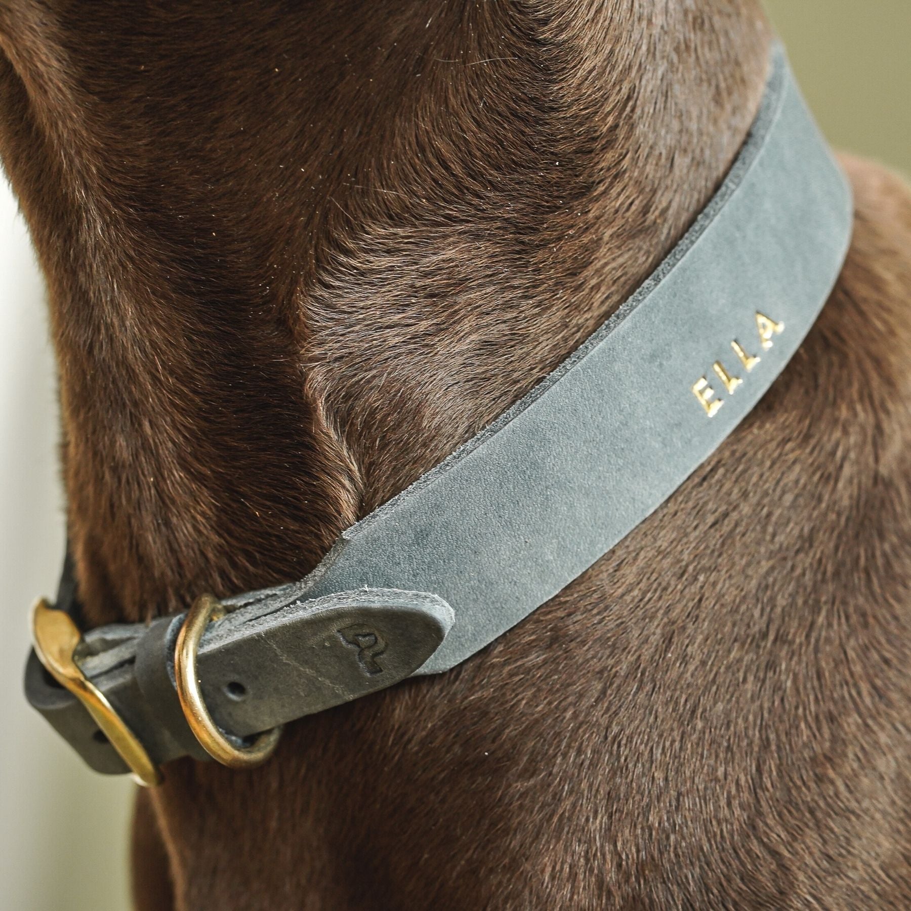 Personalizable collar with name | Stone gray