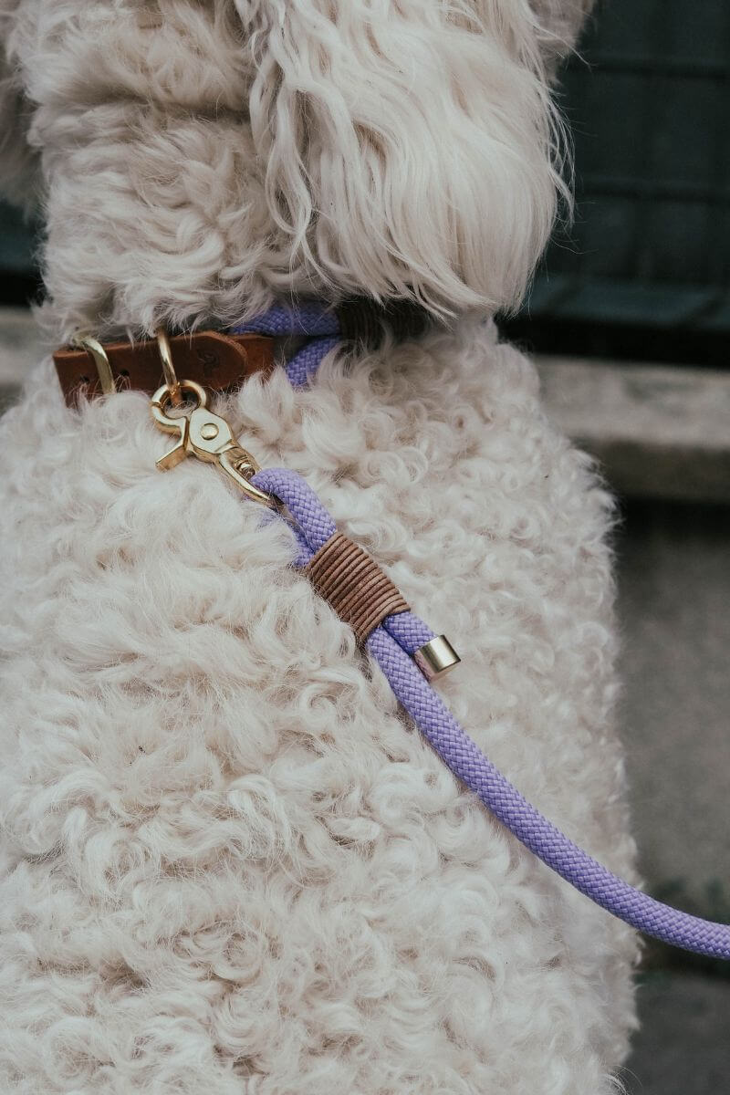 B: Goods | Tauleine 'Lavender' with leather hand strap