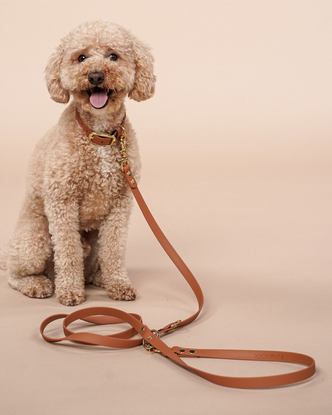 Dog leash made of Biothane® 'Light brown'