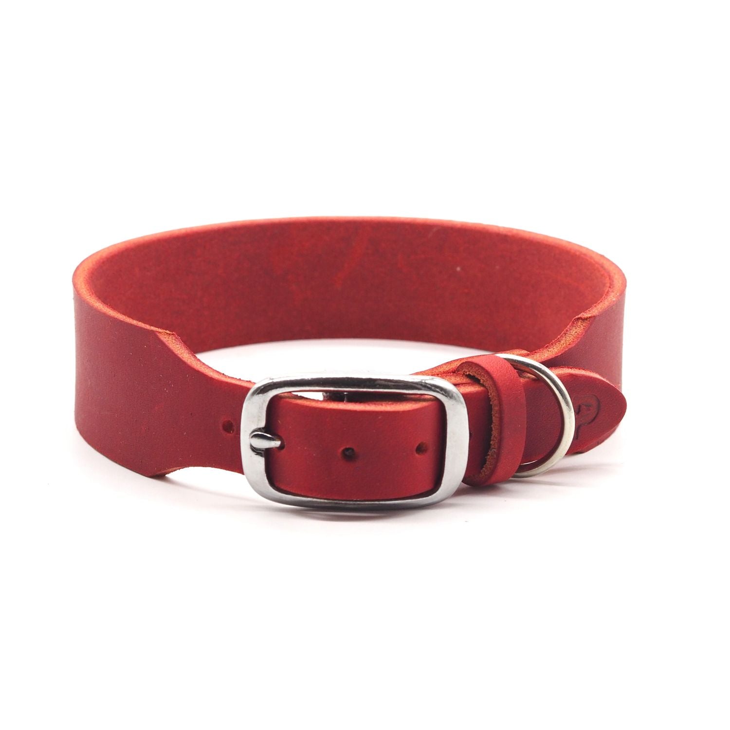 Personalizable collar with name | chili