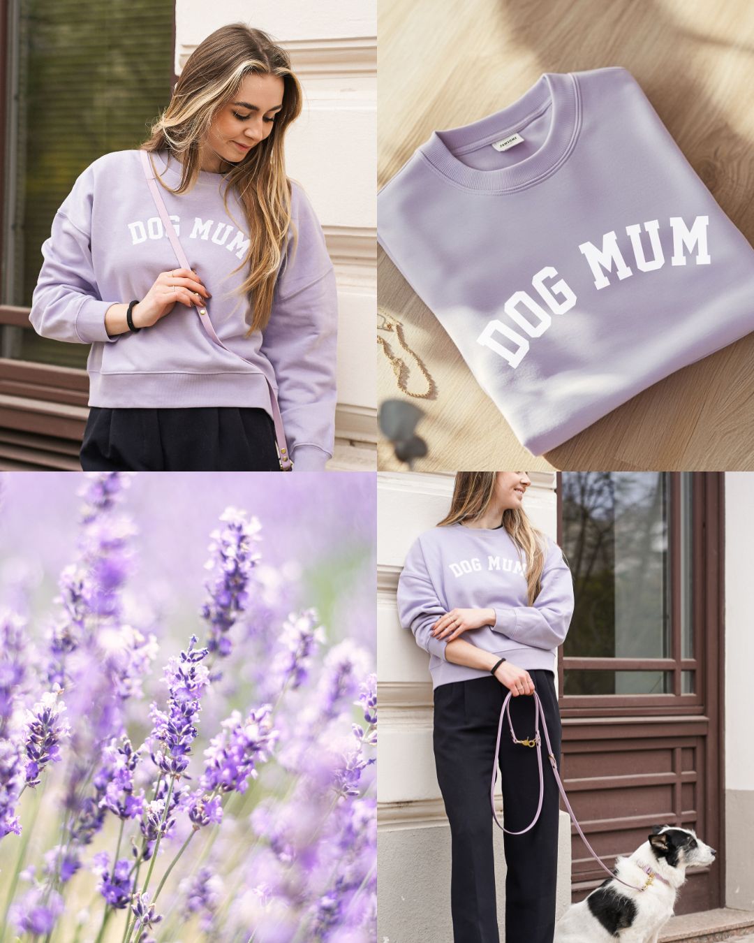 Set | Collar &amp; leash made of Biothane® 'Dusty Blue' 