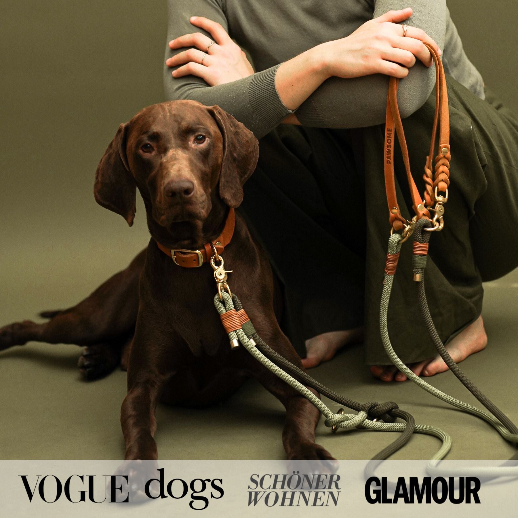 Essentials Walk Bundle | Lederhalsband + Tauleine Olive Grove + Hundemarke