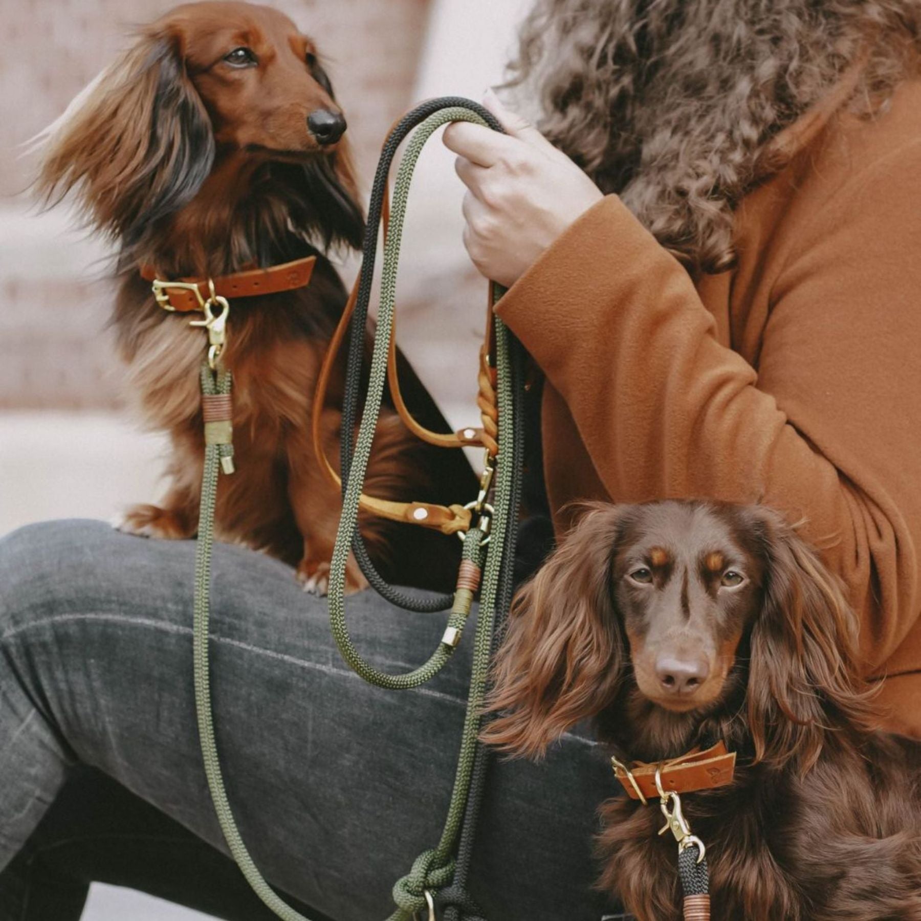 Set | Collar &amp; Leash 'Earthy'