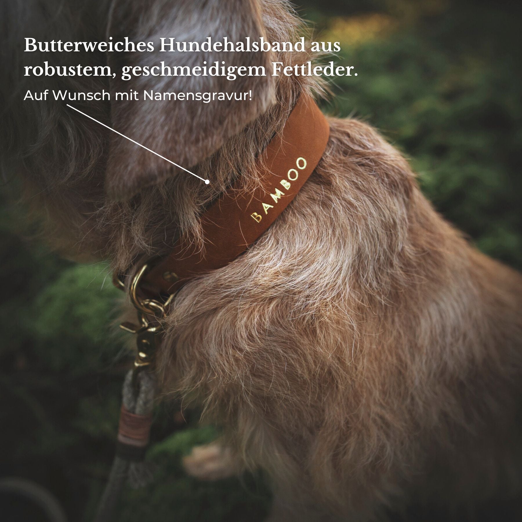 Leather Walk Bundle | Lederhalsband + Lederleine + Hundemarke