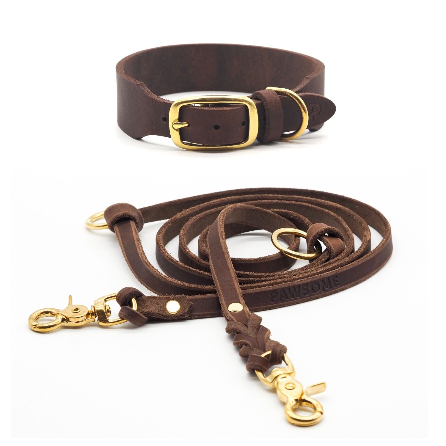 Gold collar 2024 and leash