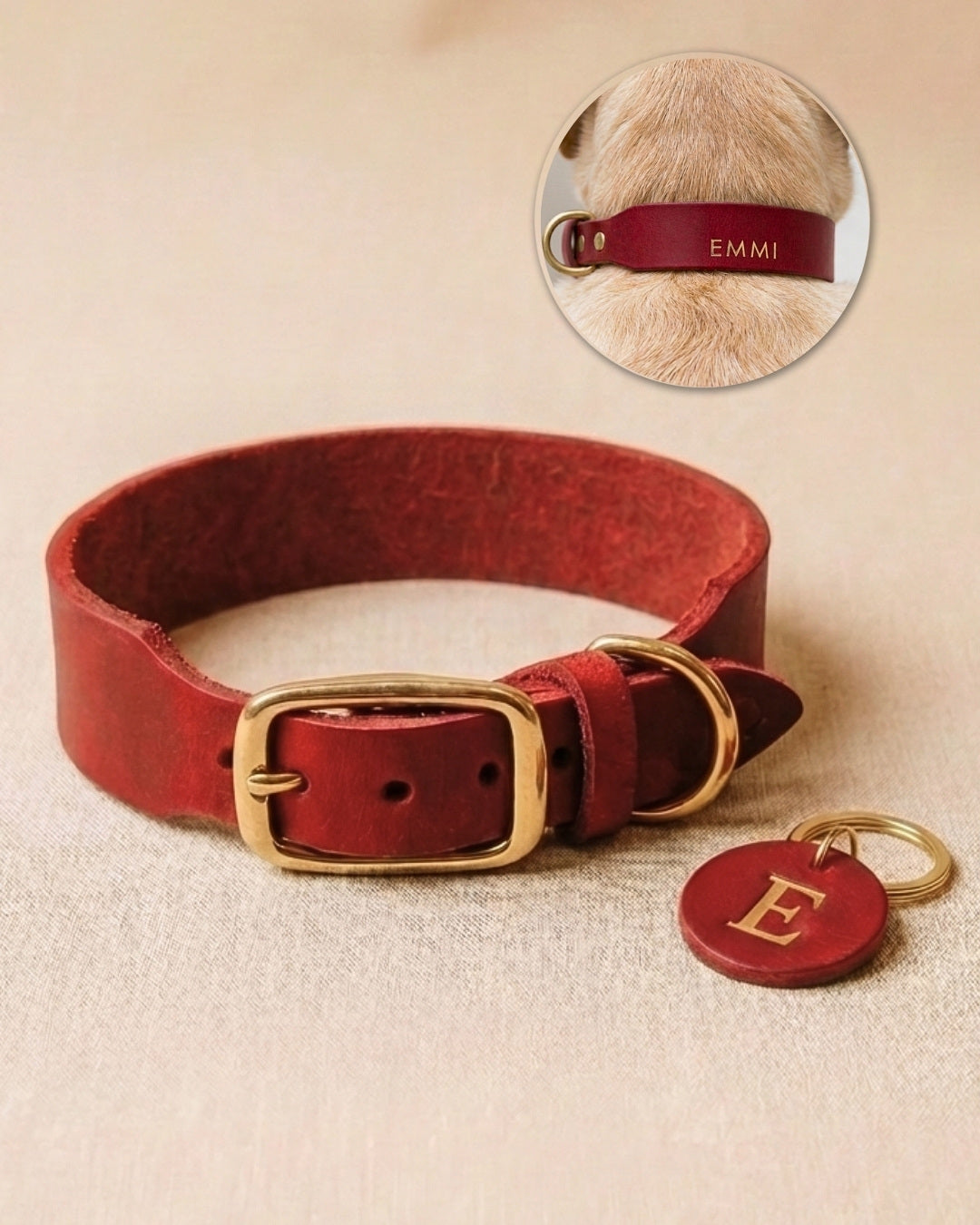 Personalizable collar with name | chili