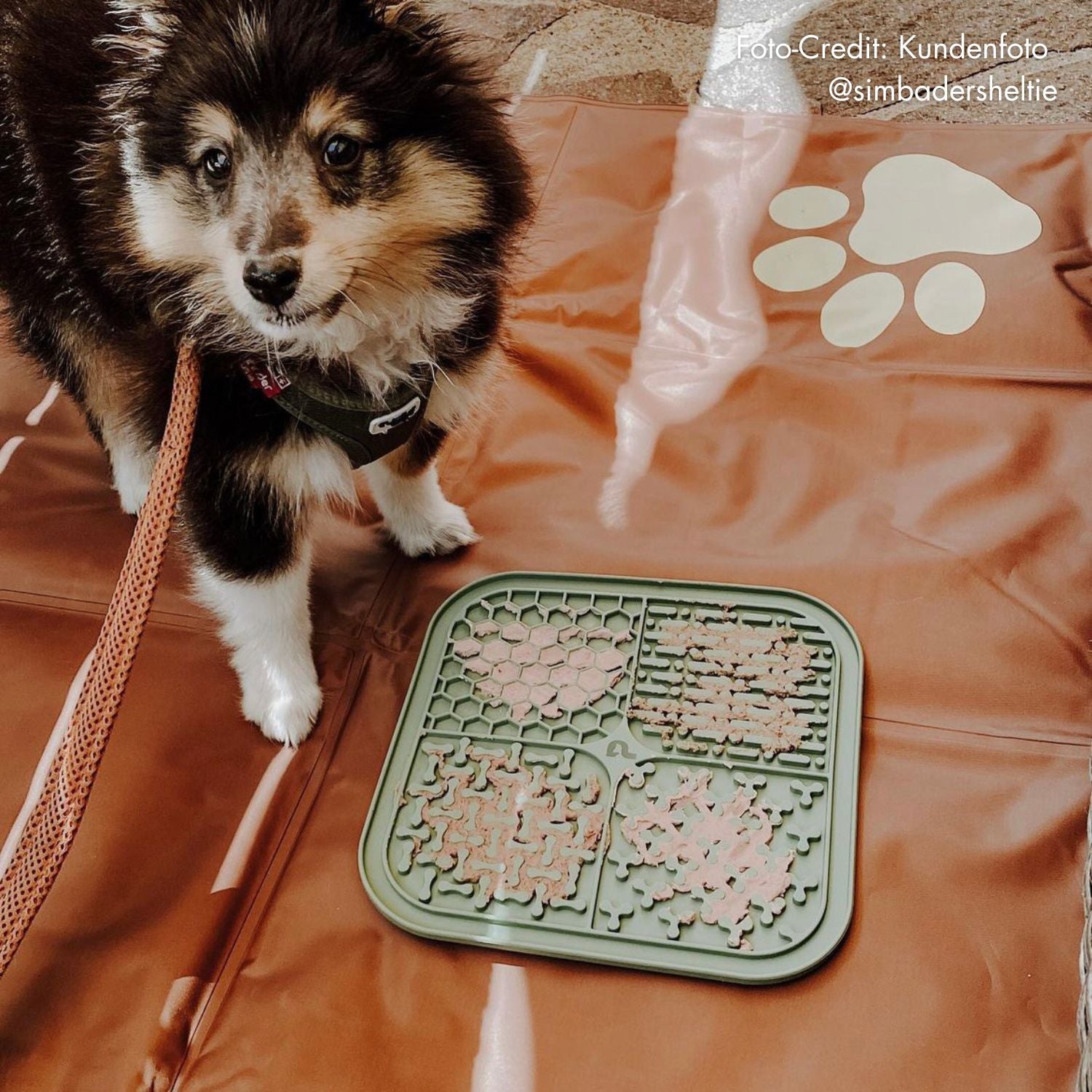 Lick mat for dogs | Gray 
