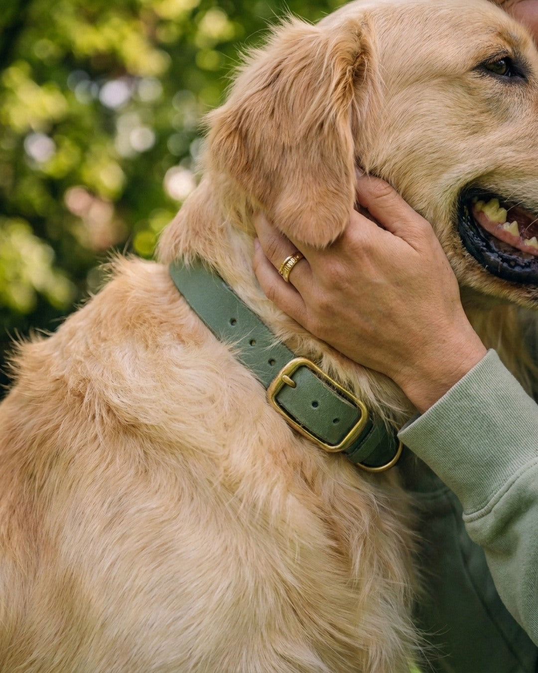 Biothane® collar 'Dusty Blue'