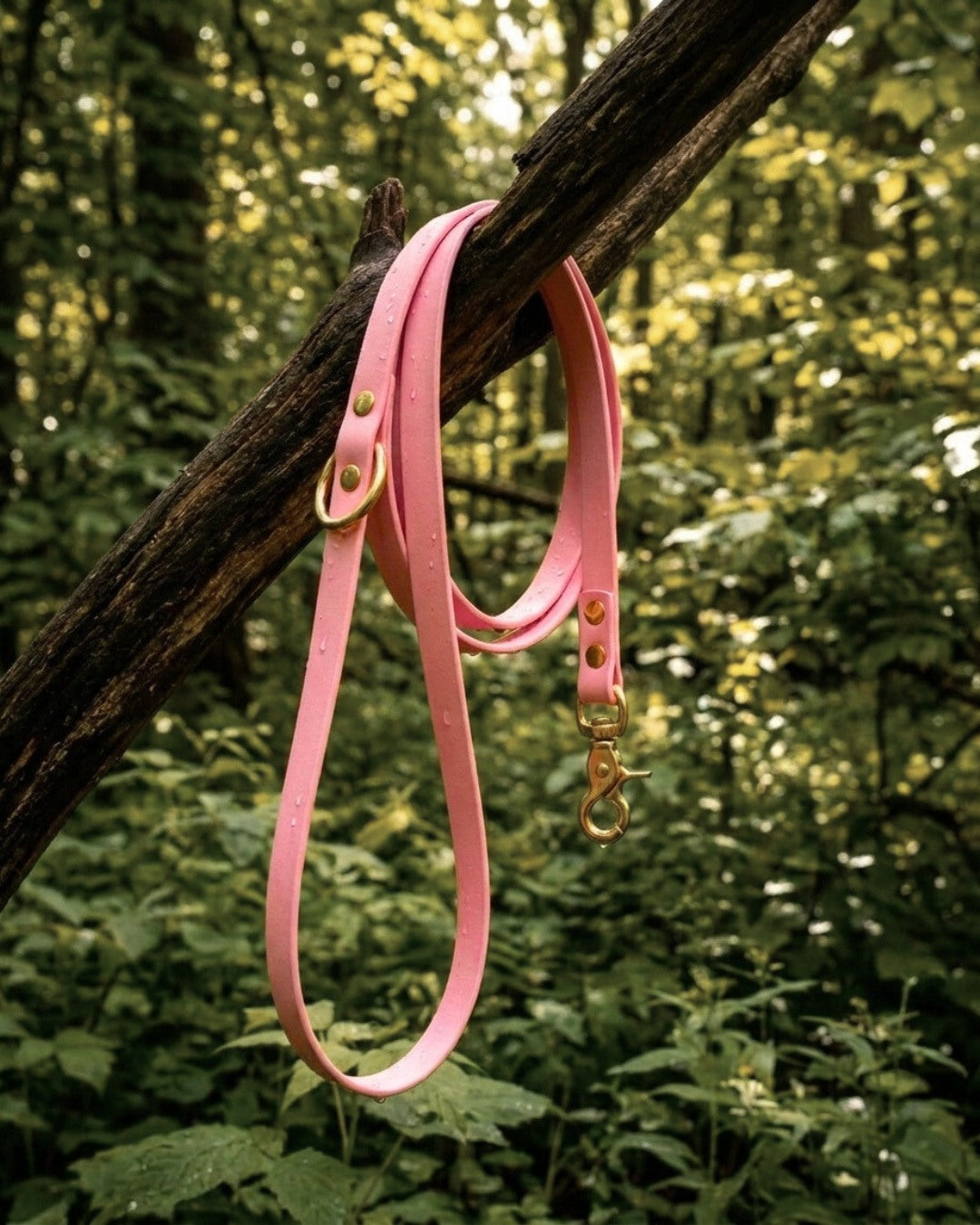 Hundeleine aus Biothane® 'Blossom'
