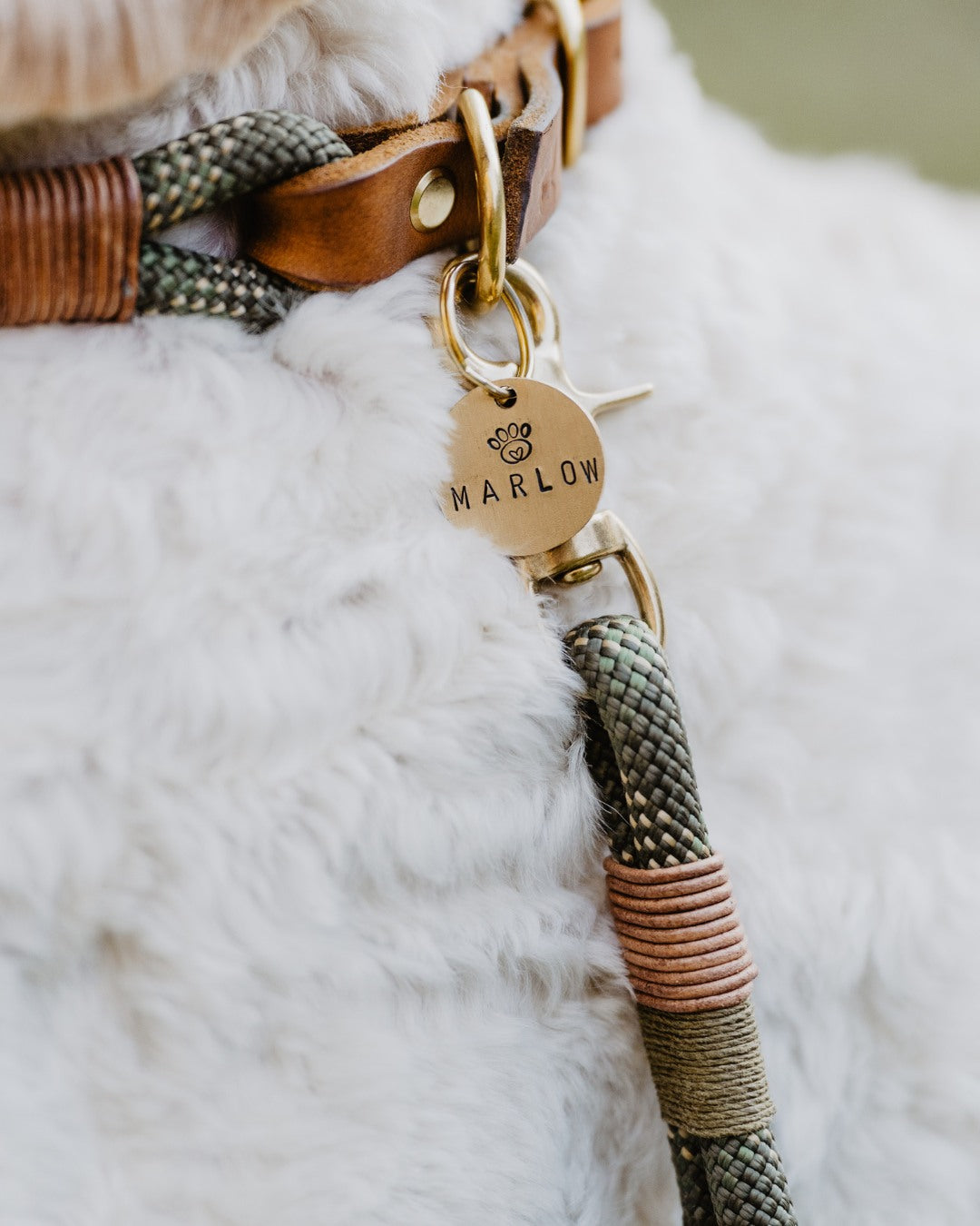 Hundemarke mit Gravur 'Gold' (Messing)