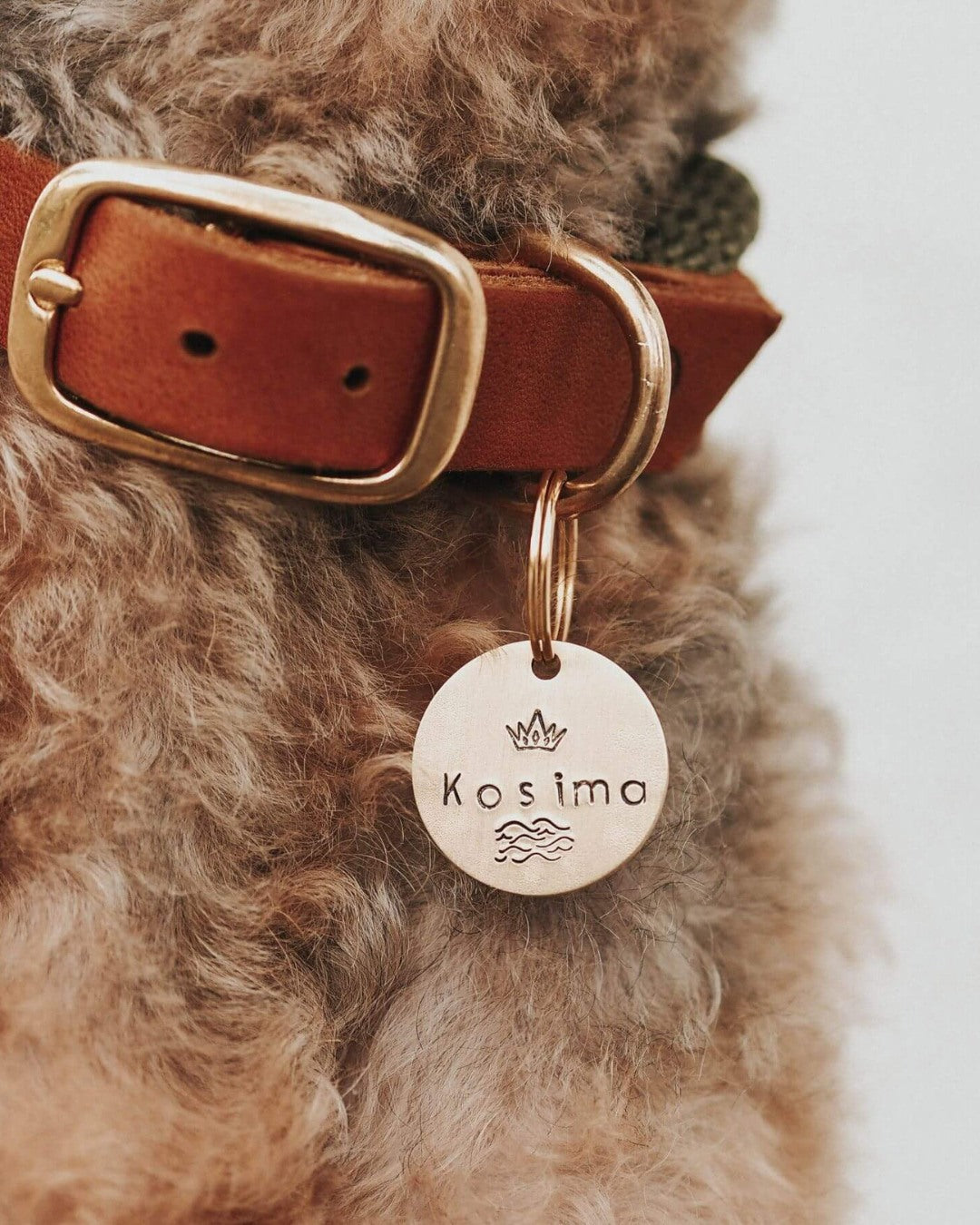 Dog tag with engraving 'Gold' (brass)