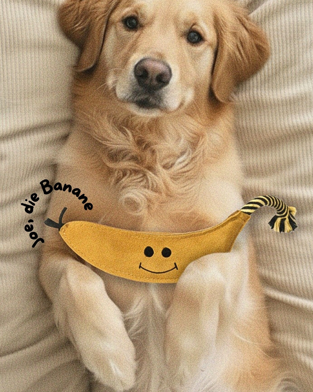 Olive the octopus lady