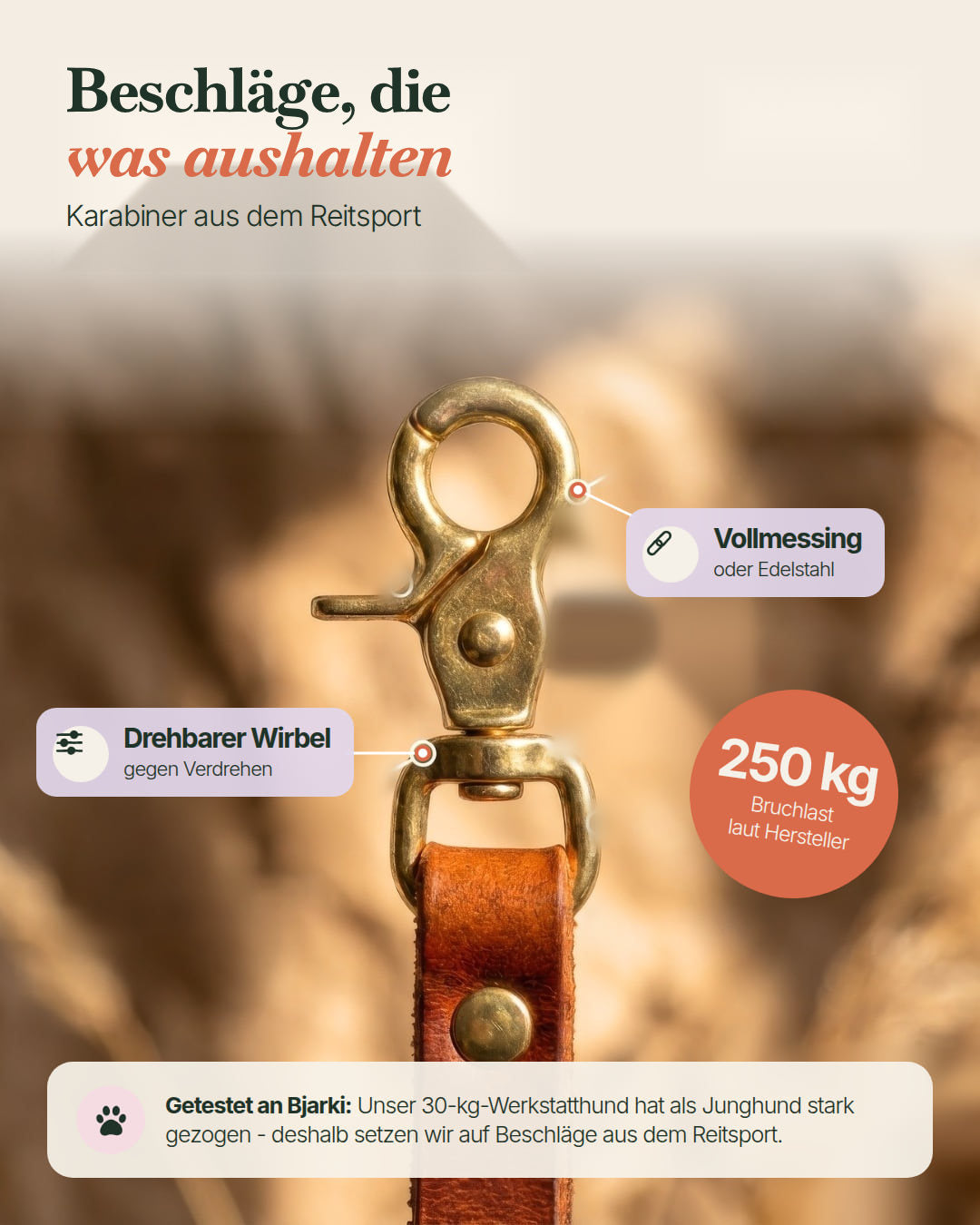 Karabiner aus dem Reitsport: Vollmessing oder Edelstahl, drehbarer Wirbel, 250 kg Bruchlast laut Hersteller