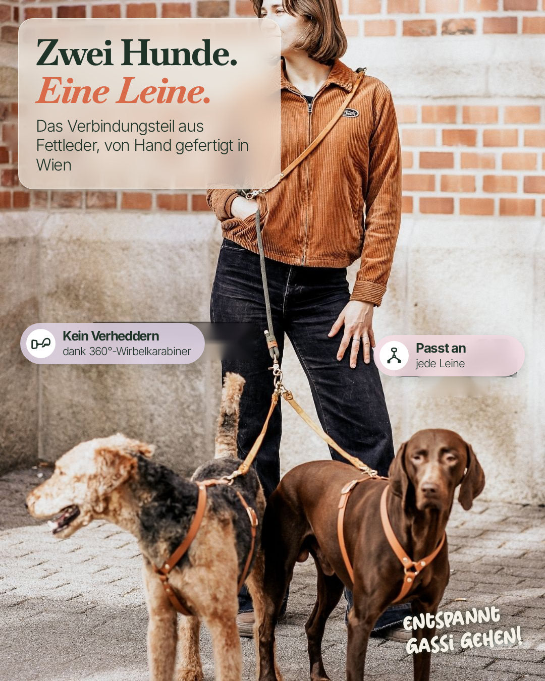 Zwei Hunde, eine Leine: Verbindungsteil aus Leder mit 360°-Wirbelkarabinern, passt an jede Leine
