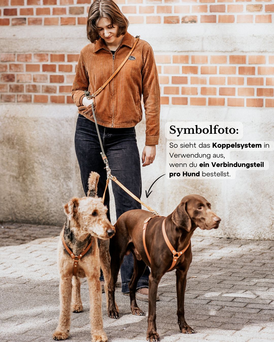 2 dogs 1 leash 2025
