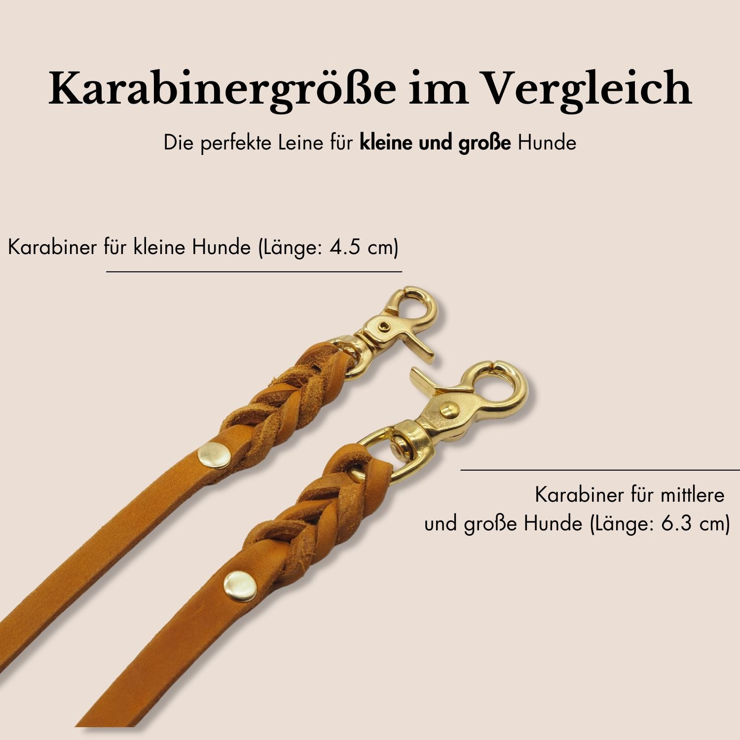 Set | Zugstopp-Halsband & Leine aus Fettleder