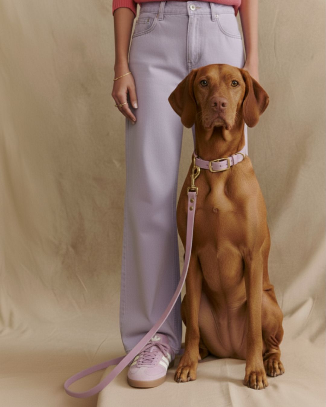 Set | Collar &amp; leash made of Biothane® 'Sage' 