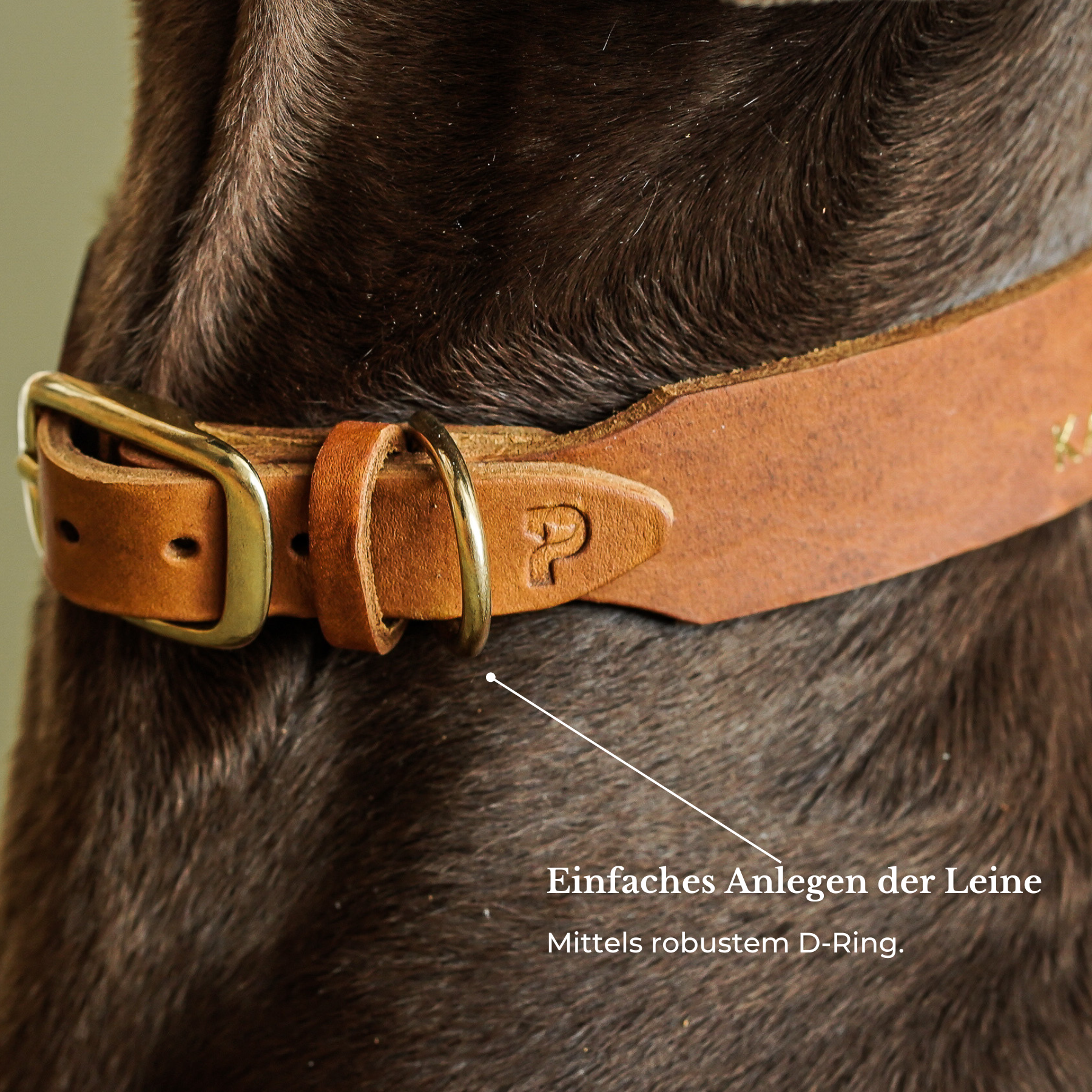 Personalizable collar with name | cognac
