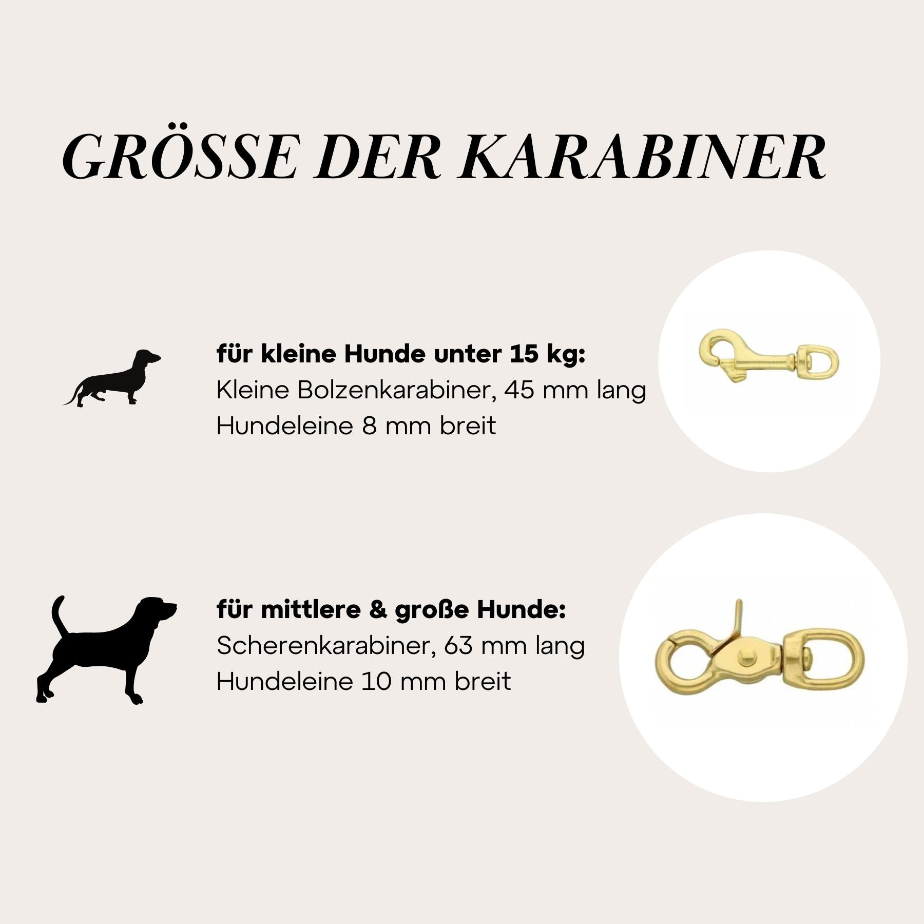 Set | Halsband & Leine aus Biothane® 'Salbei'