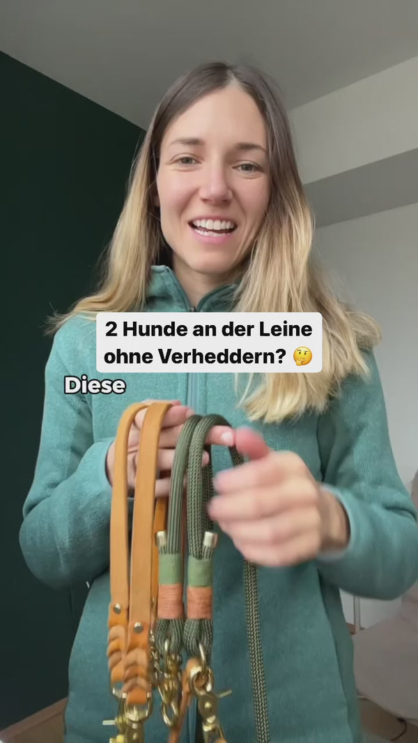 Video 3
