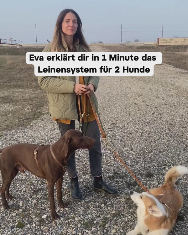 Video 1